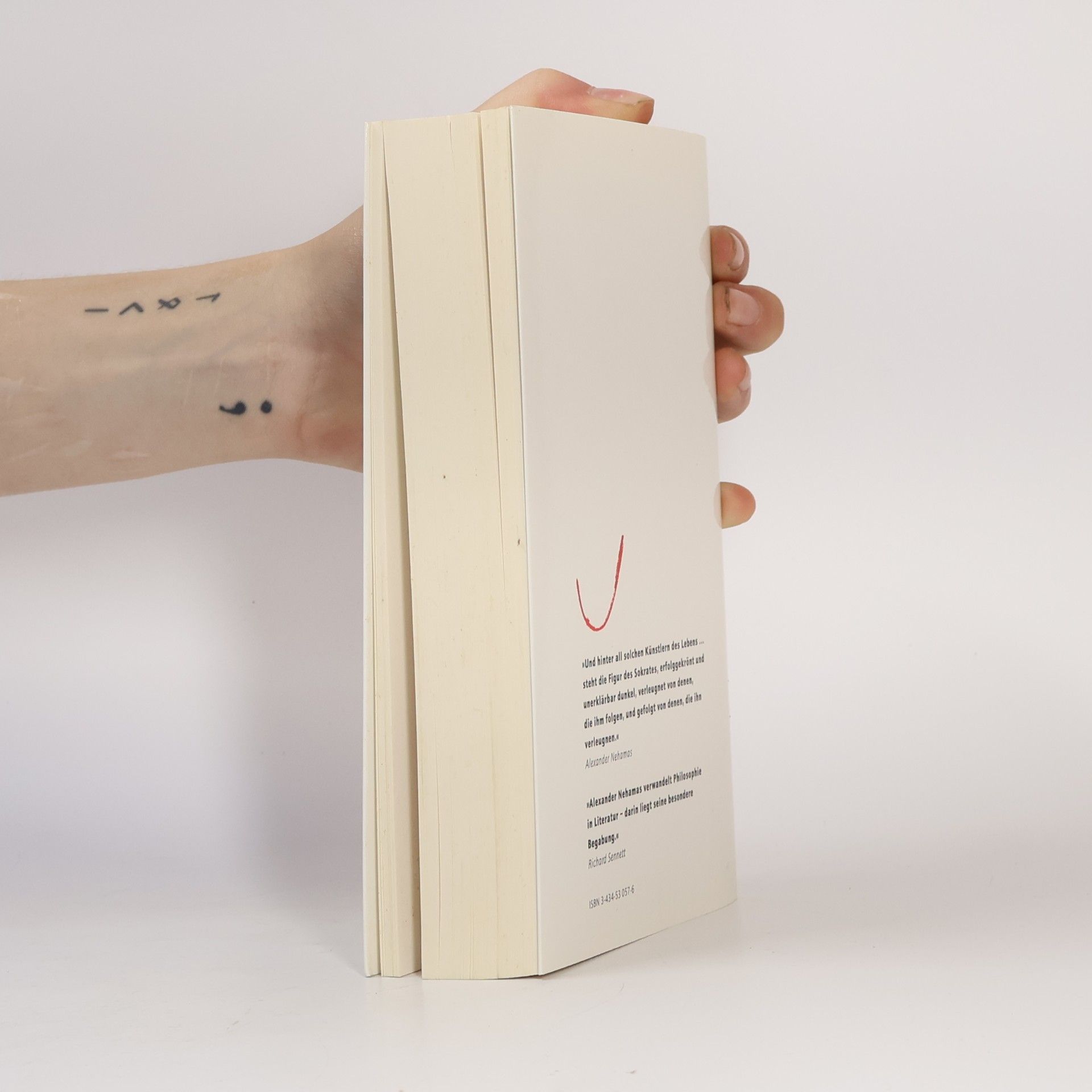 Alexander Nehamas Rotbuch Rationen: Die Kunst zu leben
