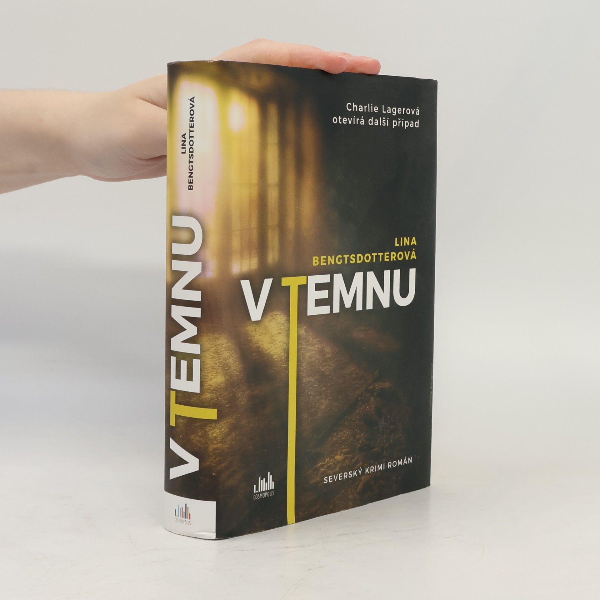 Lina Bengtsdotter V temnu