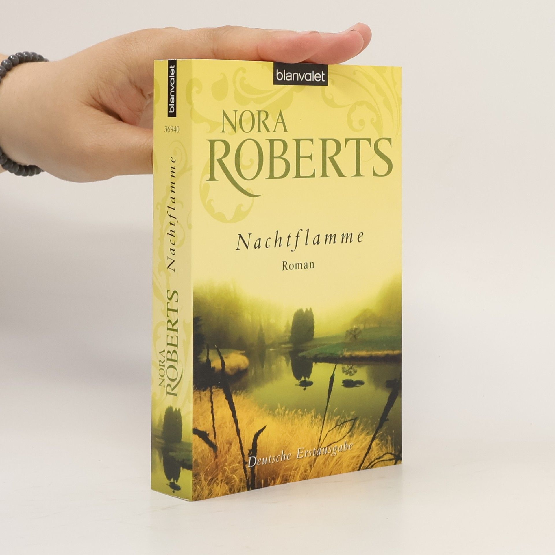 Nora Roberts Nachtflamme