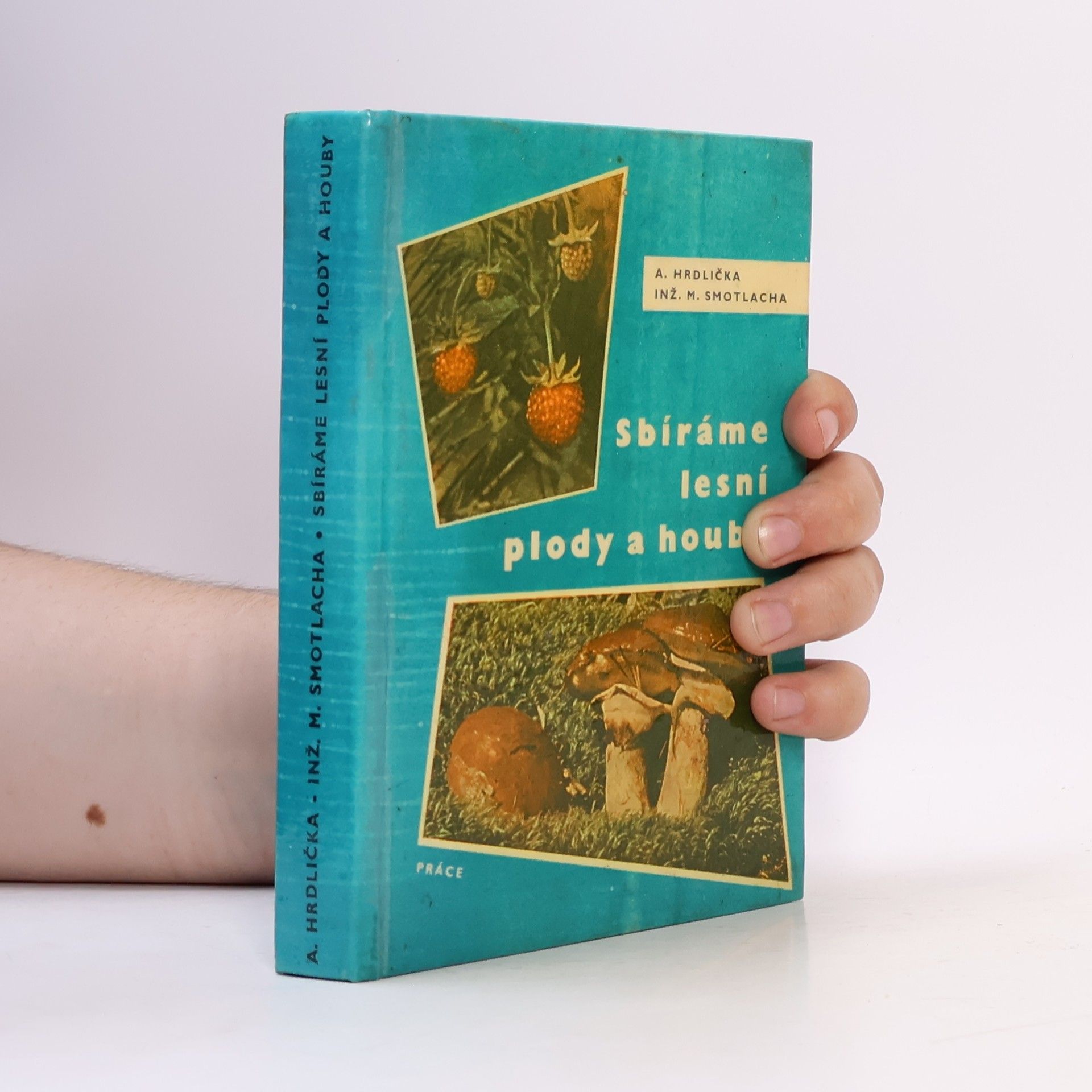 Antonín Hrdlička Sbíráme lesní plody a houby