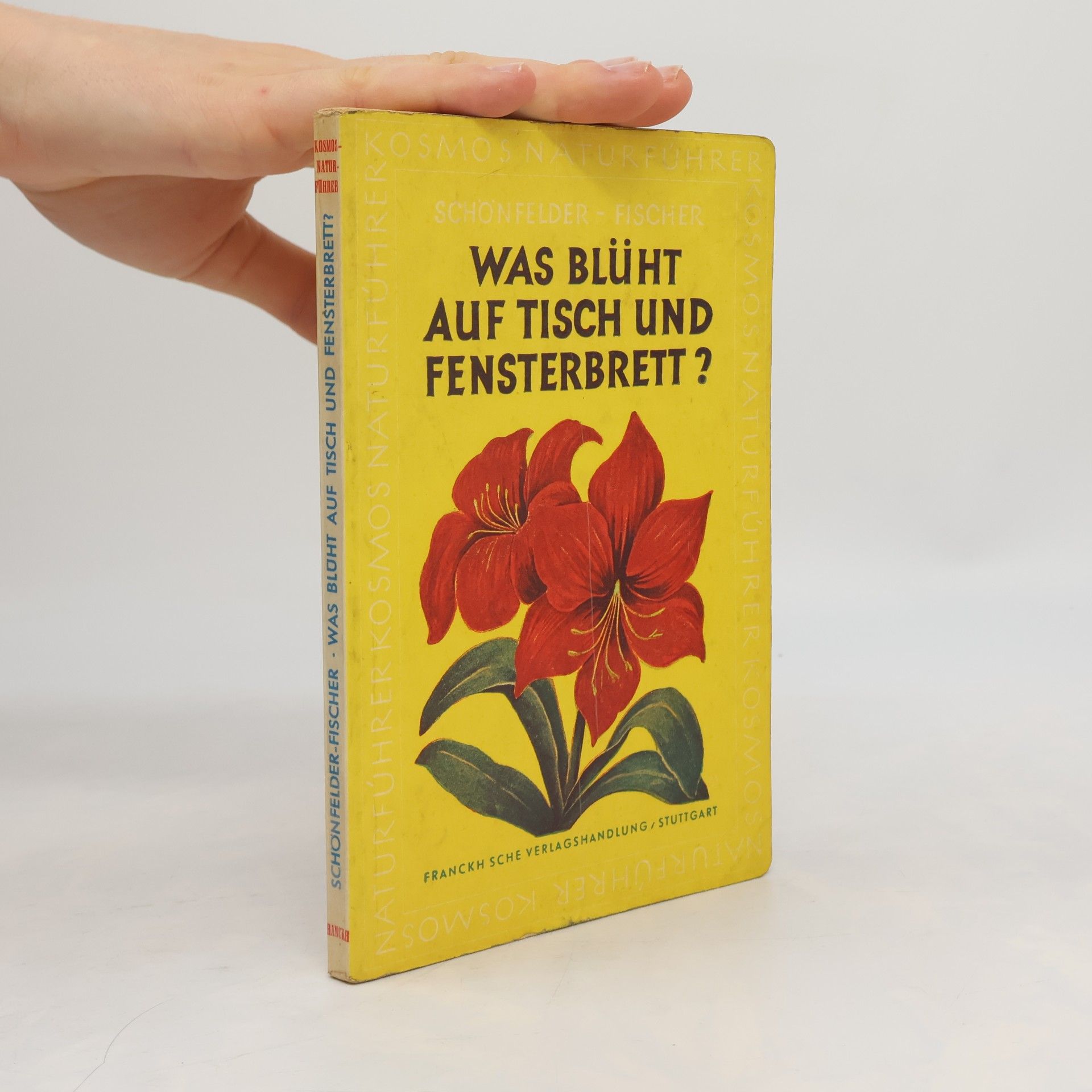 Kolektiv autorů Was blüht auf Tisch und Fensterbrett?