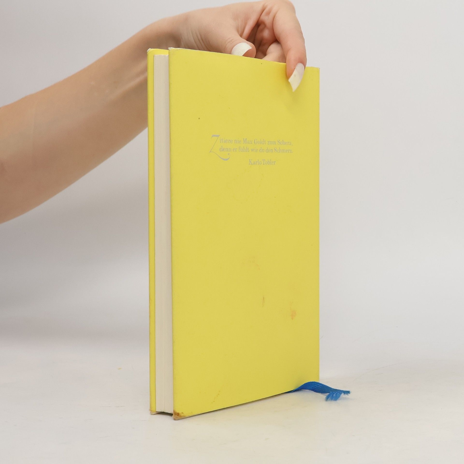 Max Goldt Ein Buch namens Zimbo