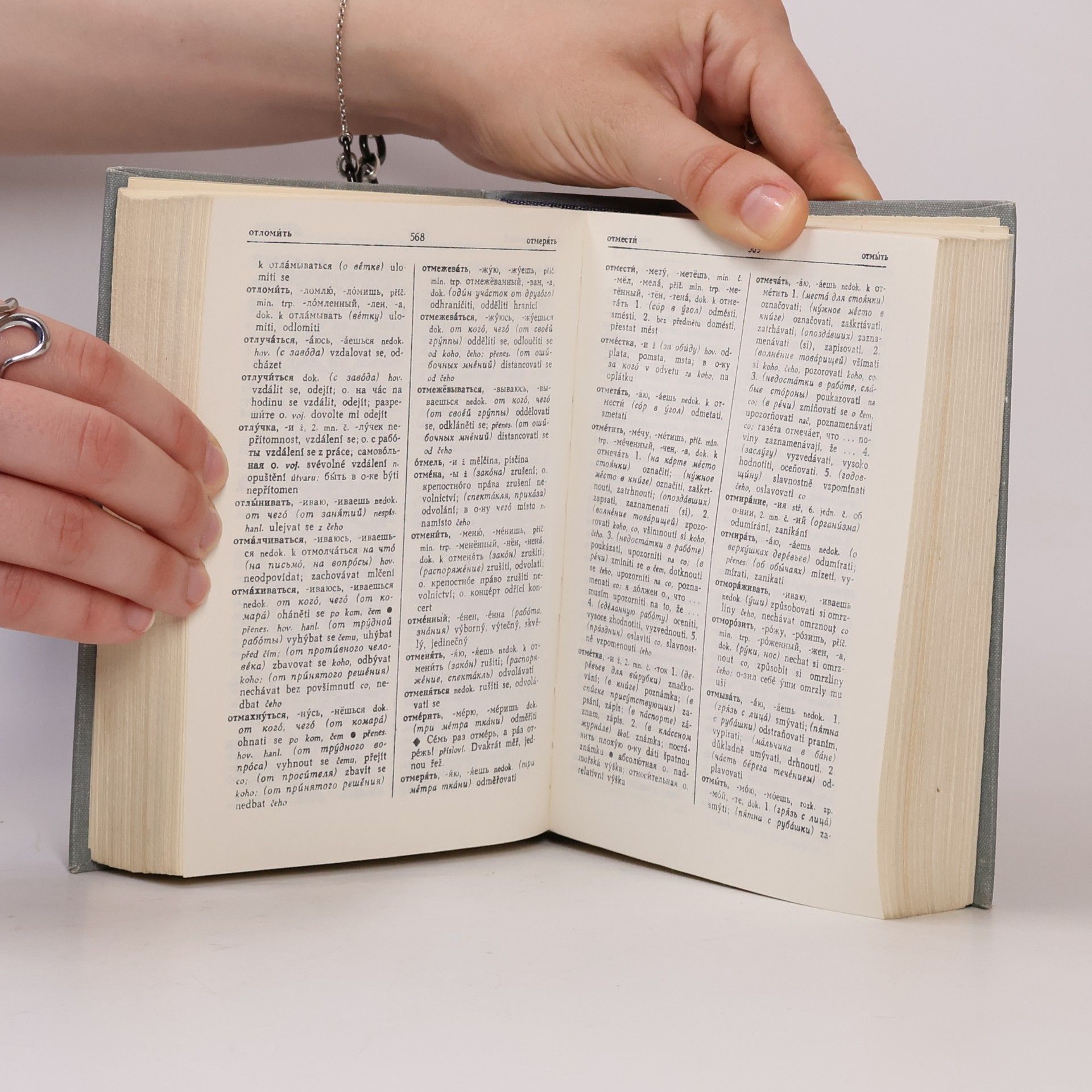 Autorenkollektiv Školní rusko-český slovník