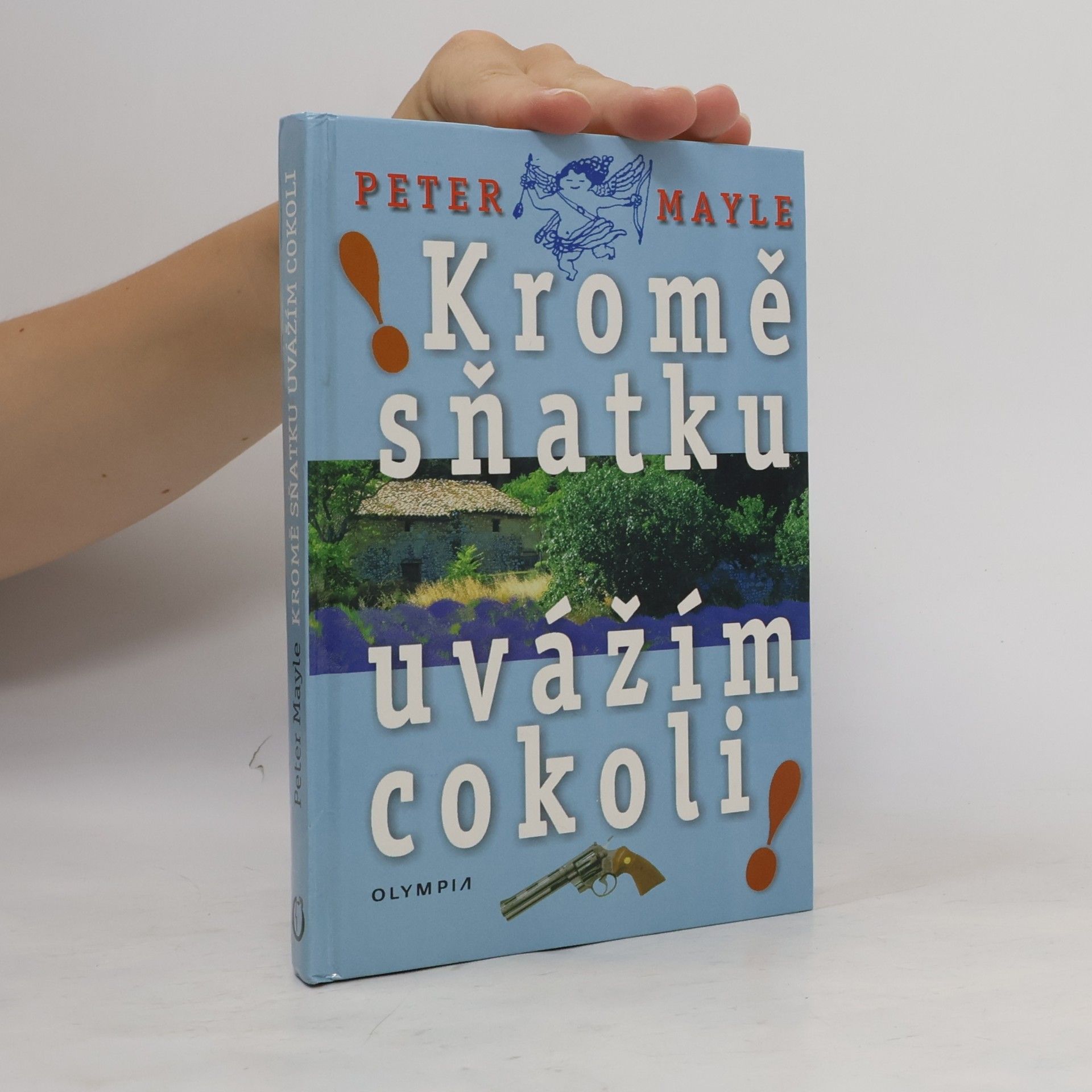 Peter Mayle Kromě sňatku uvážím cokoli!