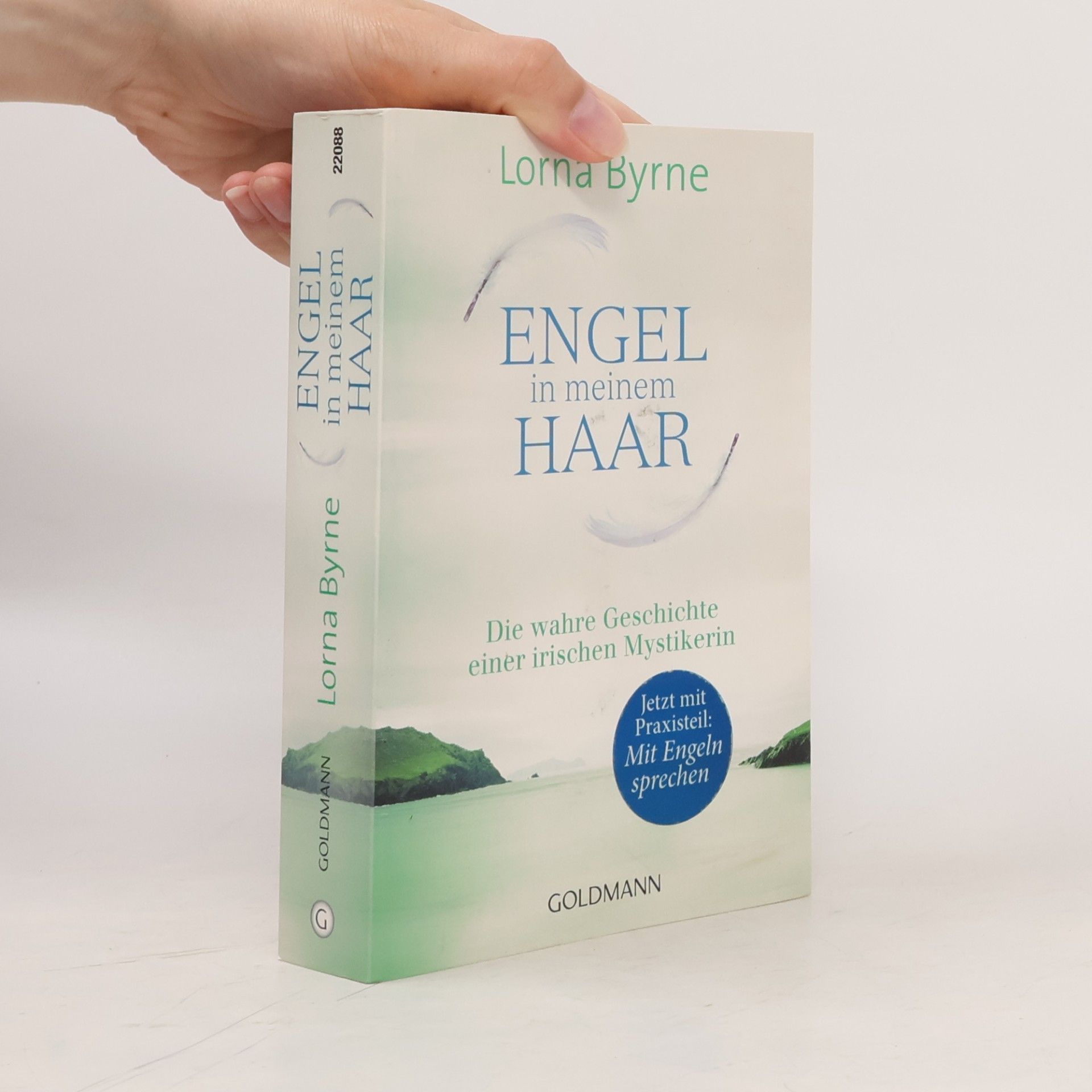 Lorna Byrne Engel in meinem Haar