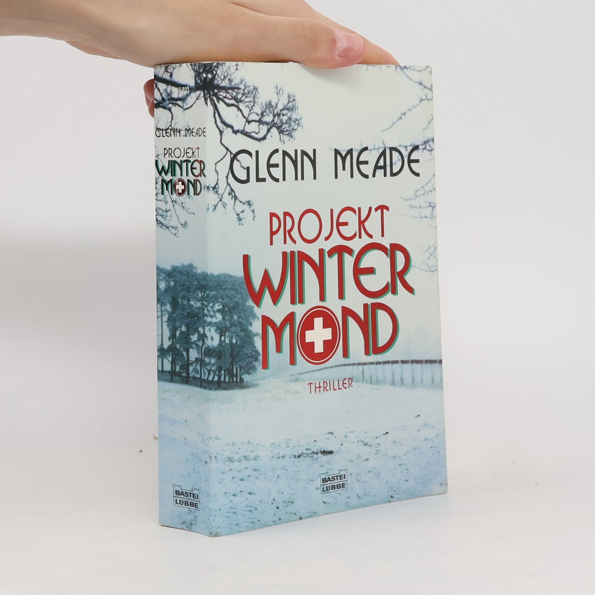 Glenn Meade Projekt winter mind