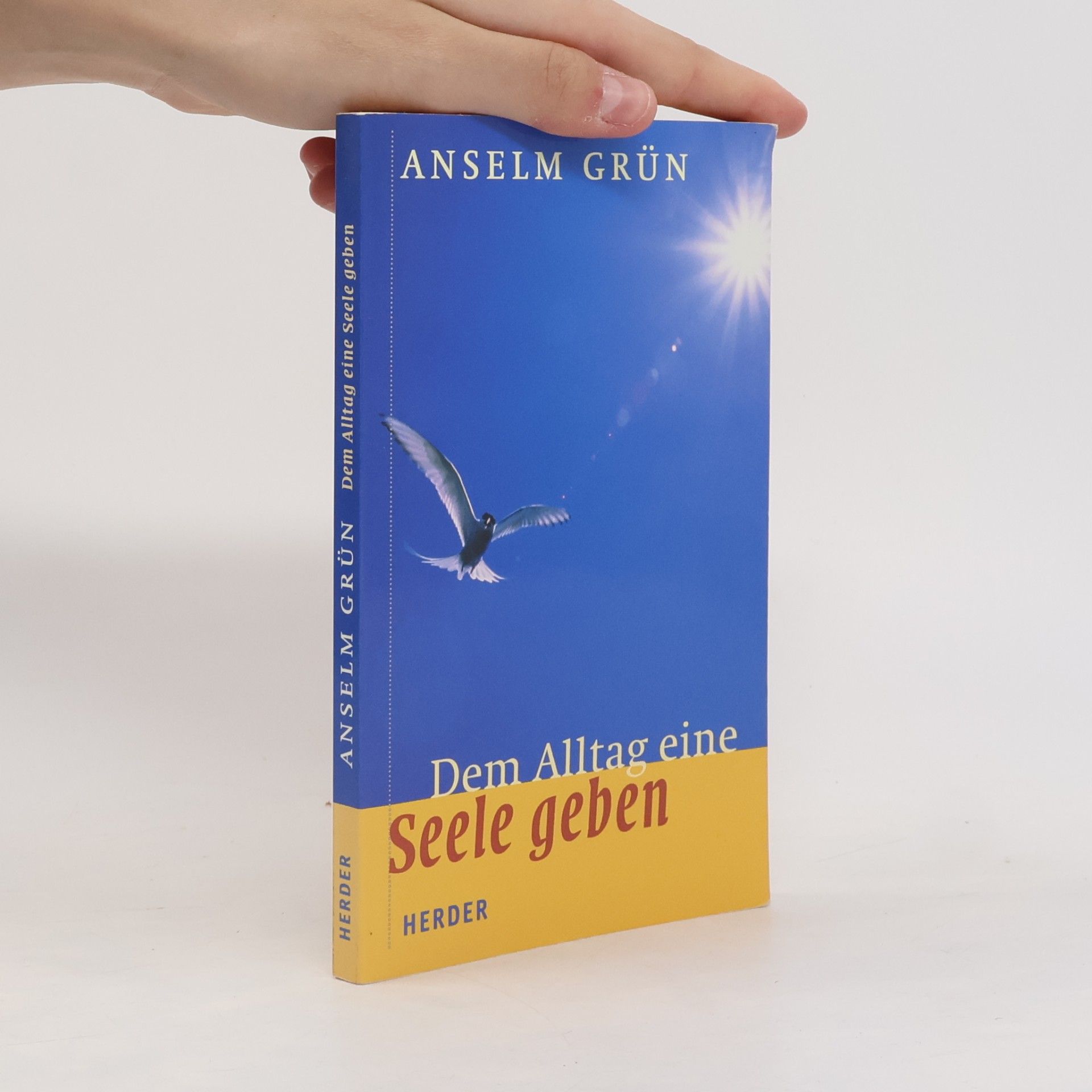 Anselm Grün Dem Alltag eine Seele geben