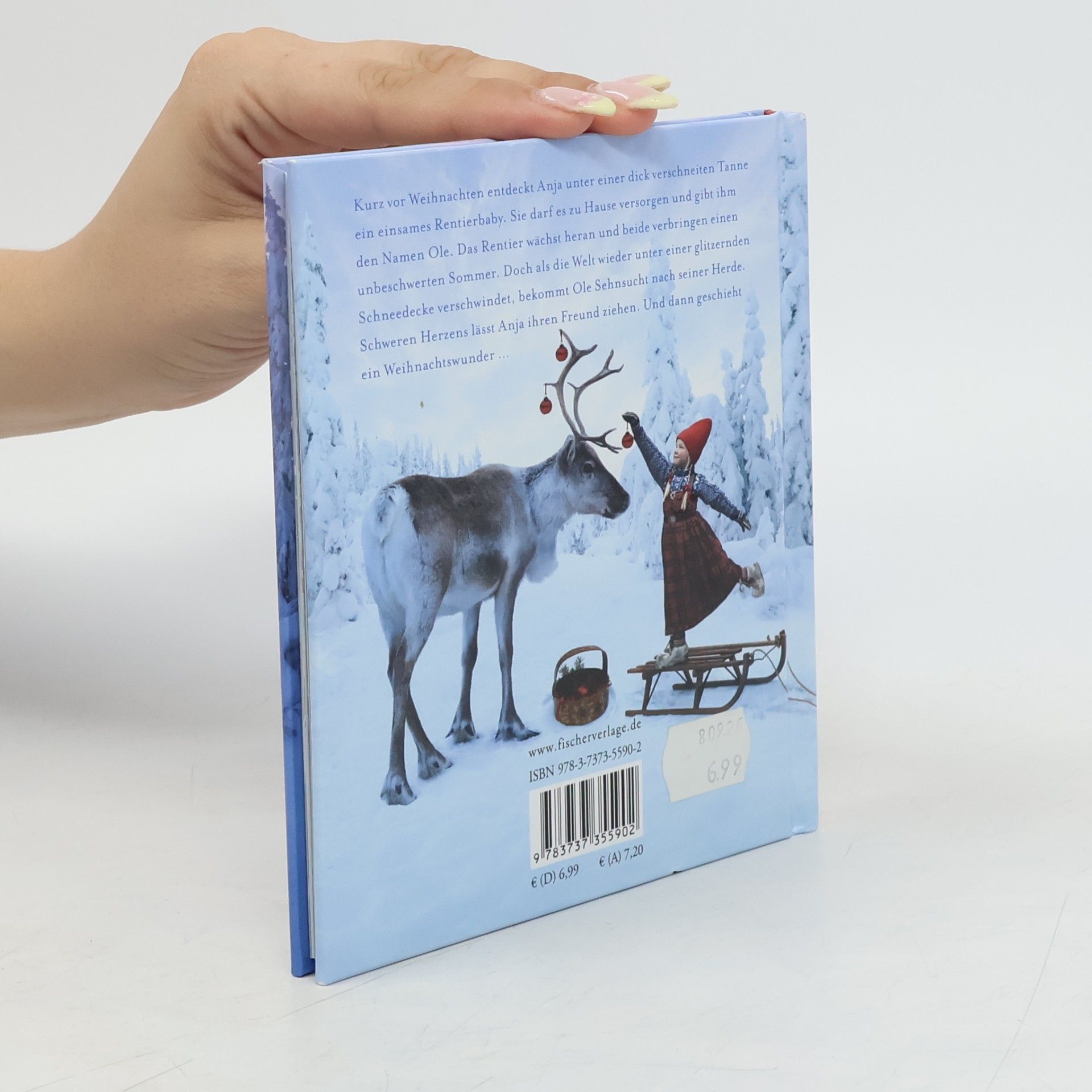 Lori Evert Ein wunderbarer Weihnachtswunsch