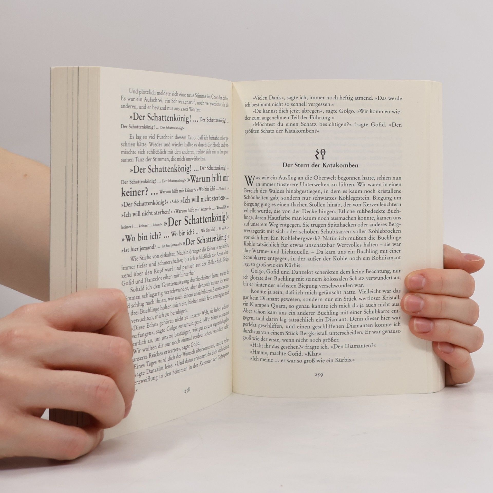 Walter Moers Die Stadt der Träumenden Bücher