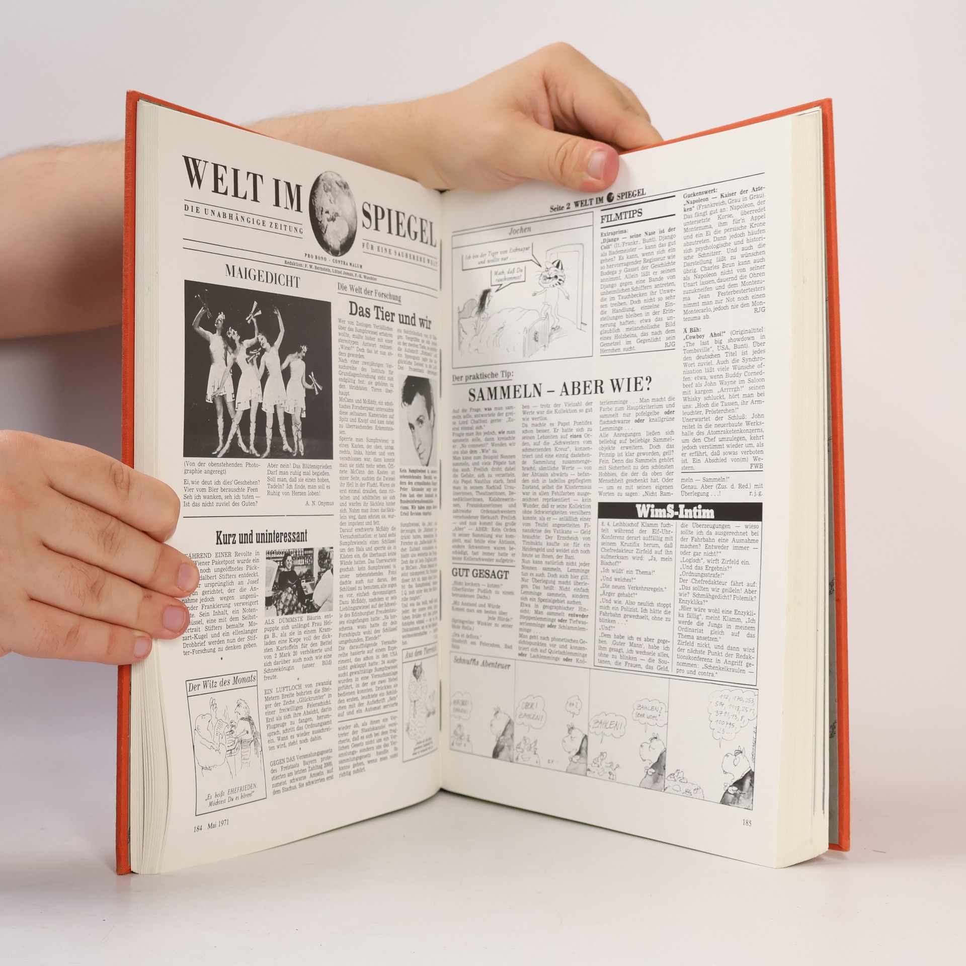 Robert Gernhardt Welt im Spiegel