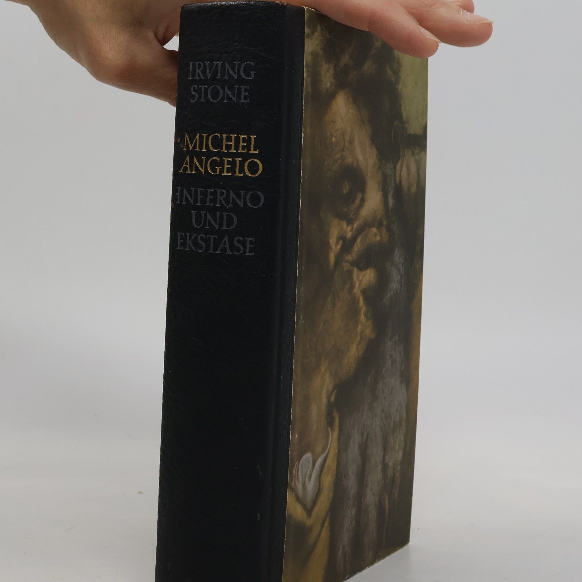 Irving Stone Michelangelo. Inferno und Ekstase
