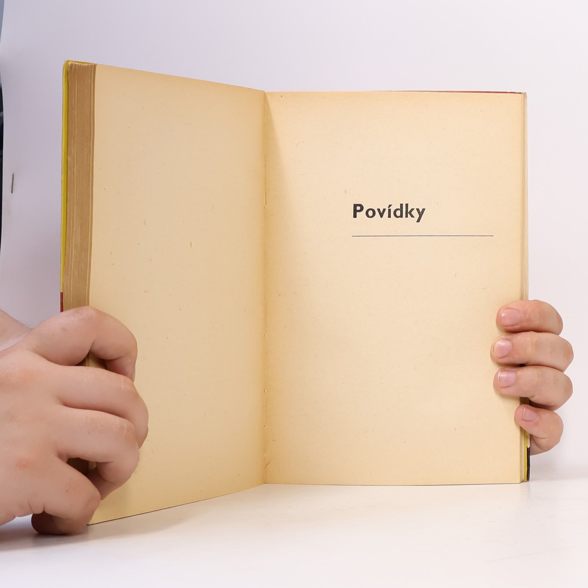 Lev Liňkov Kapitán "Staré želvy"