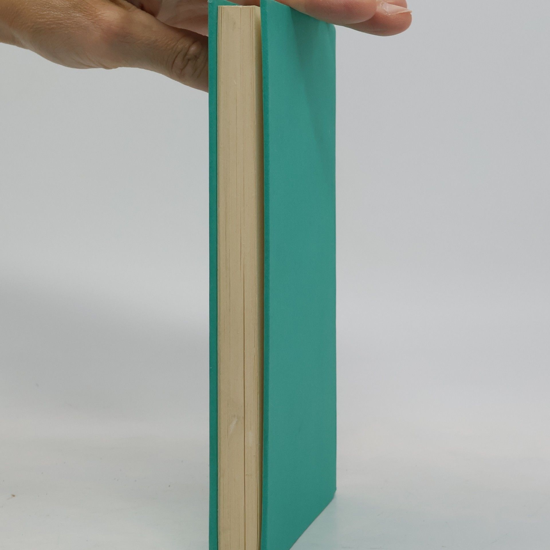 Auteurscollectief Merlins Atlas der Handlesekunst