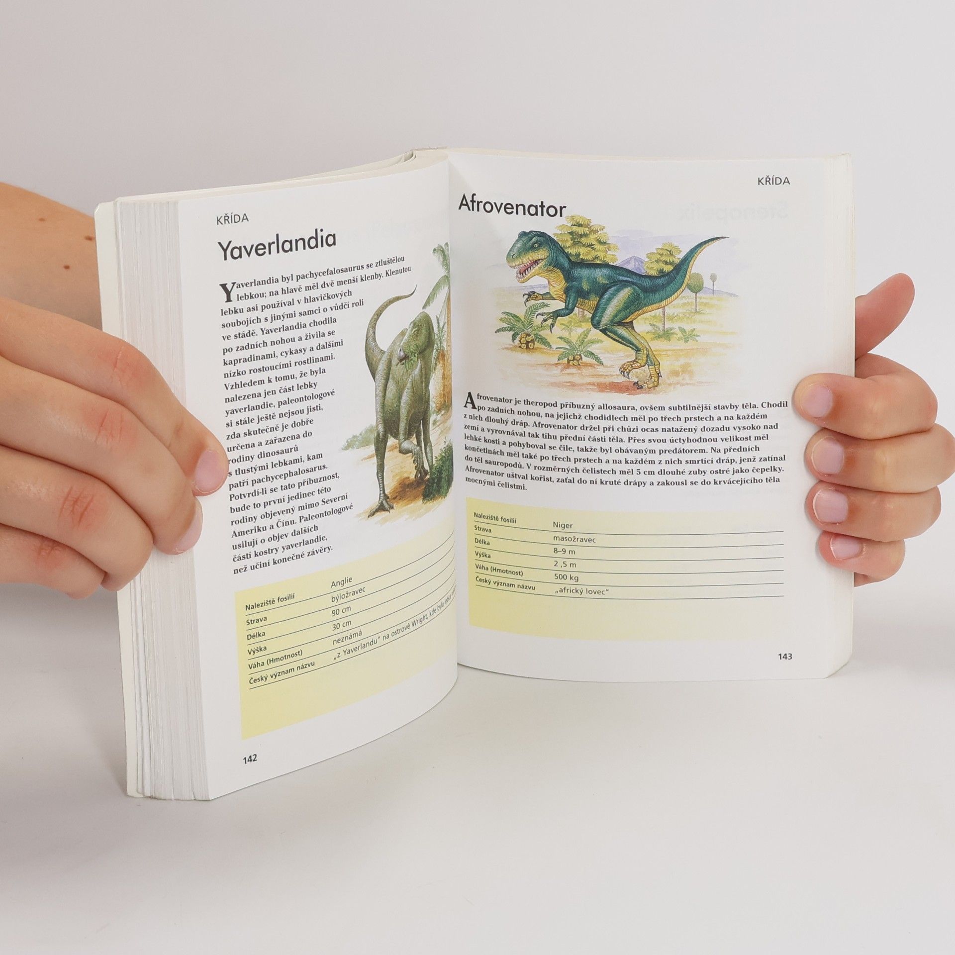 Gerrie McCall Dinosauři. Od Alosaura k Tyranosaurovi