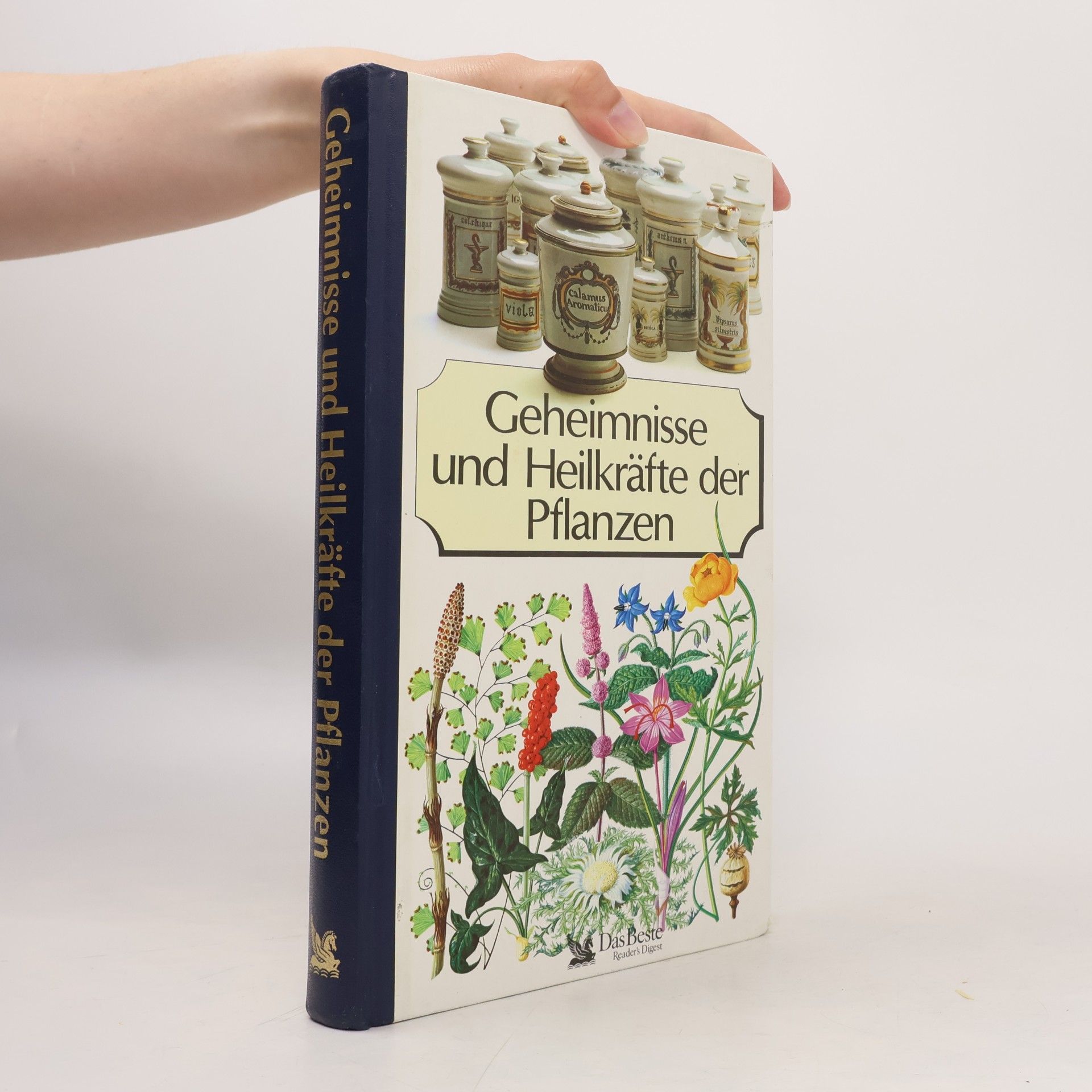 Autorenkollektiv Geheimnisse und Heilkräfte der Pflanzen