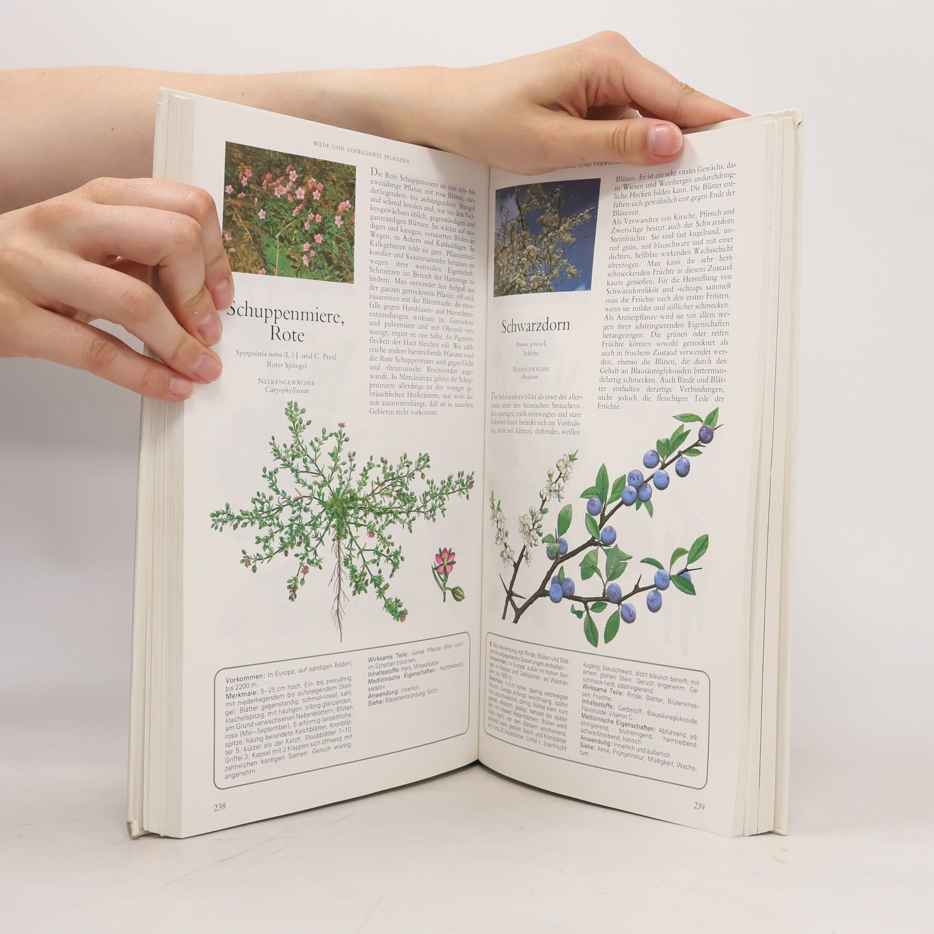 Various authors Geheimnisse und Heilkräfte der Pflanzen