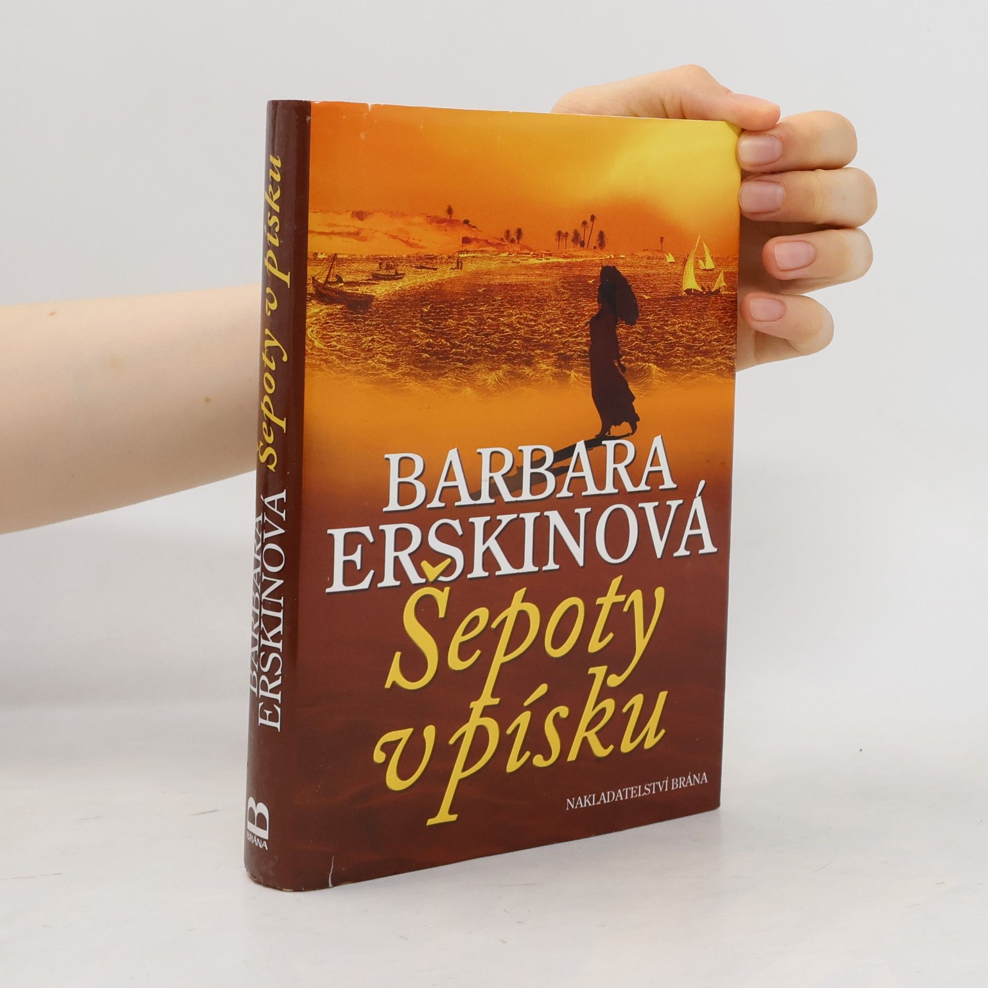 Barbara Erskine Šepoty v písku