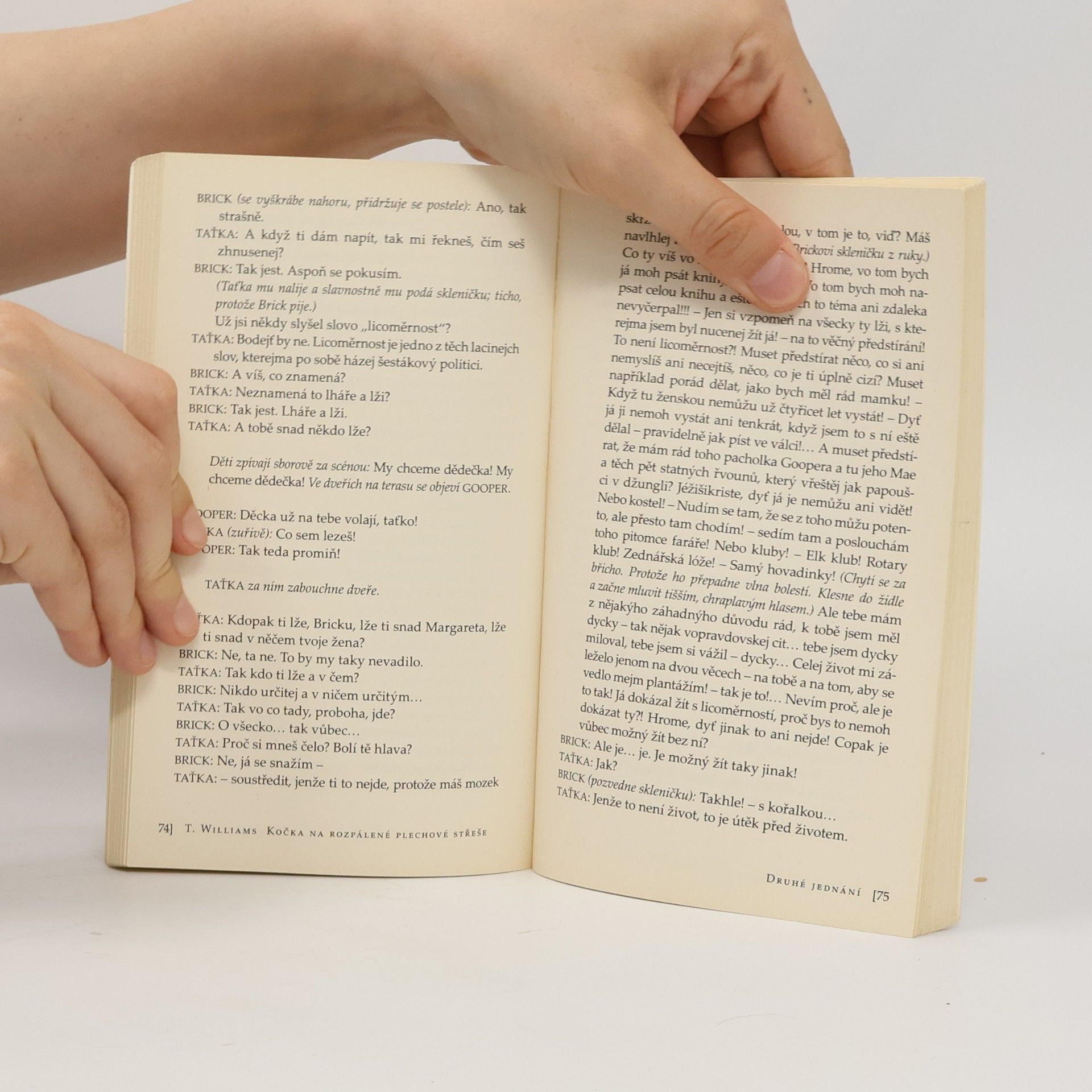Tennessee Williams Kočka na rozpálené plechové střeše