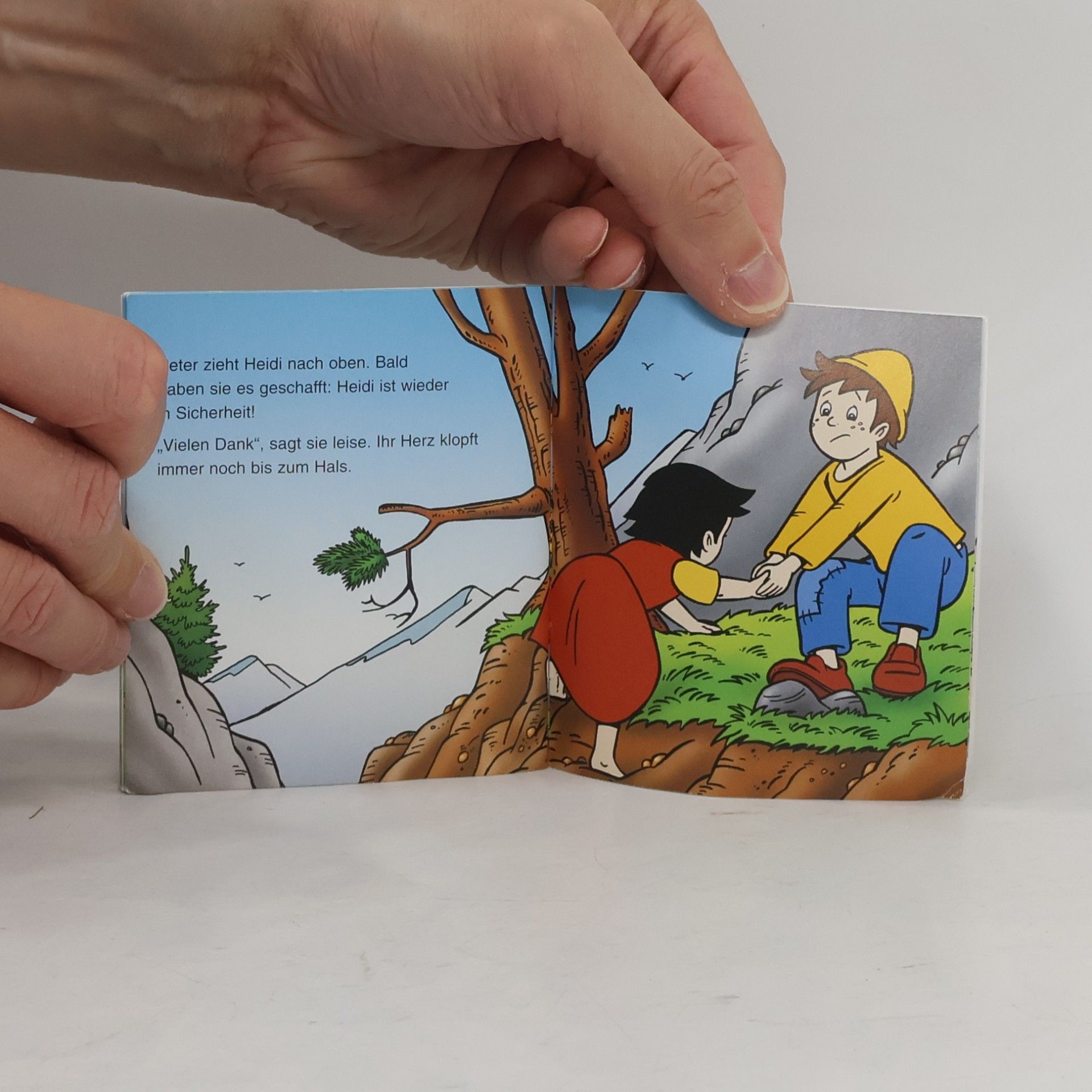 Autorenkollektiv Heidi. Ein Zuhause für Heidi