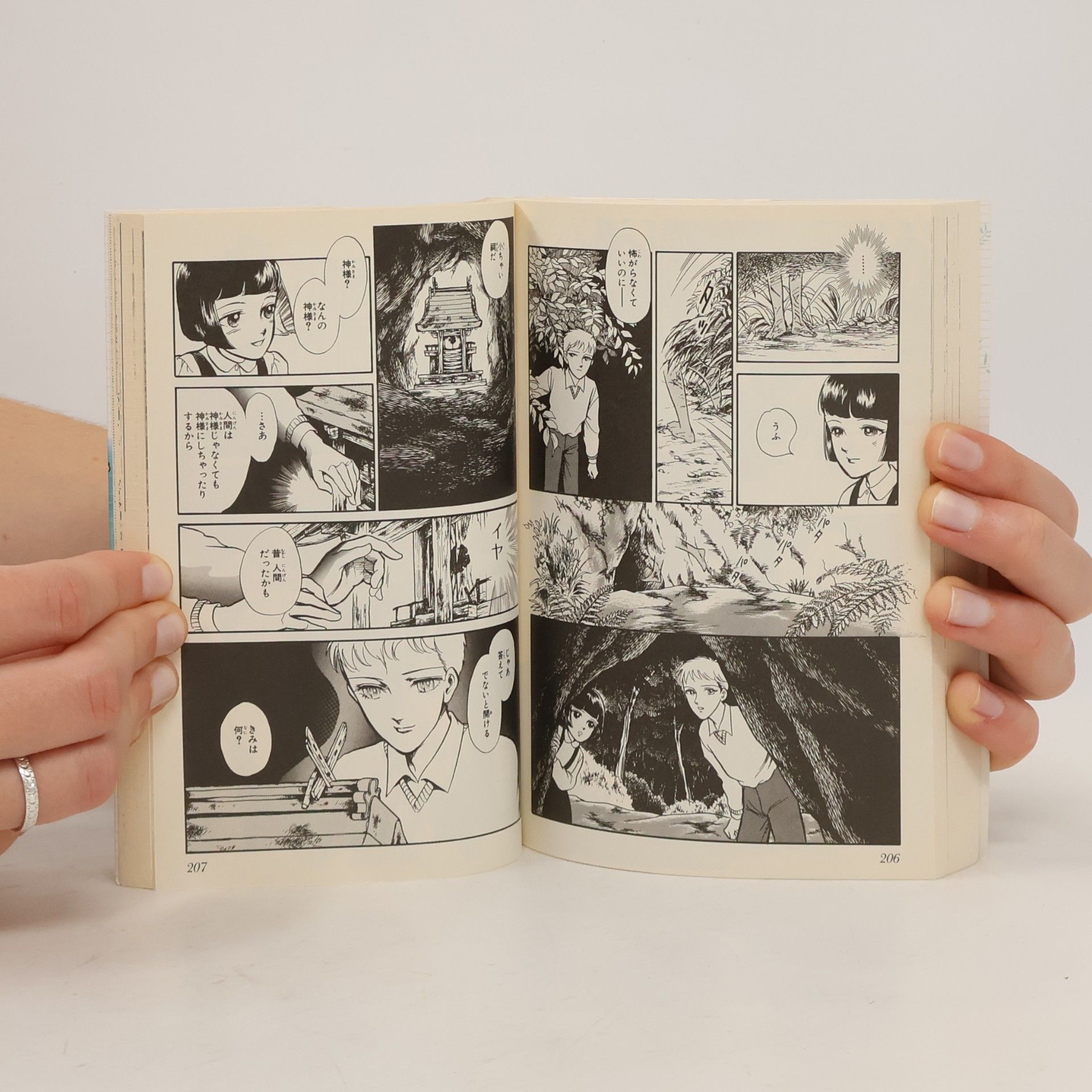 Takemiya Keiko 疾風(かぜ)のまつりごと