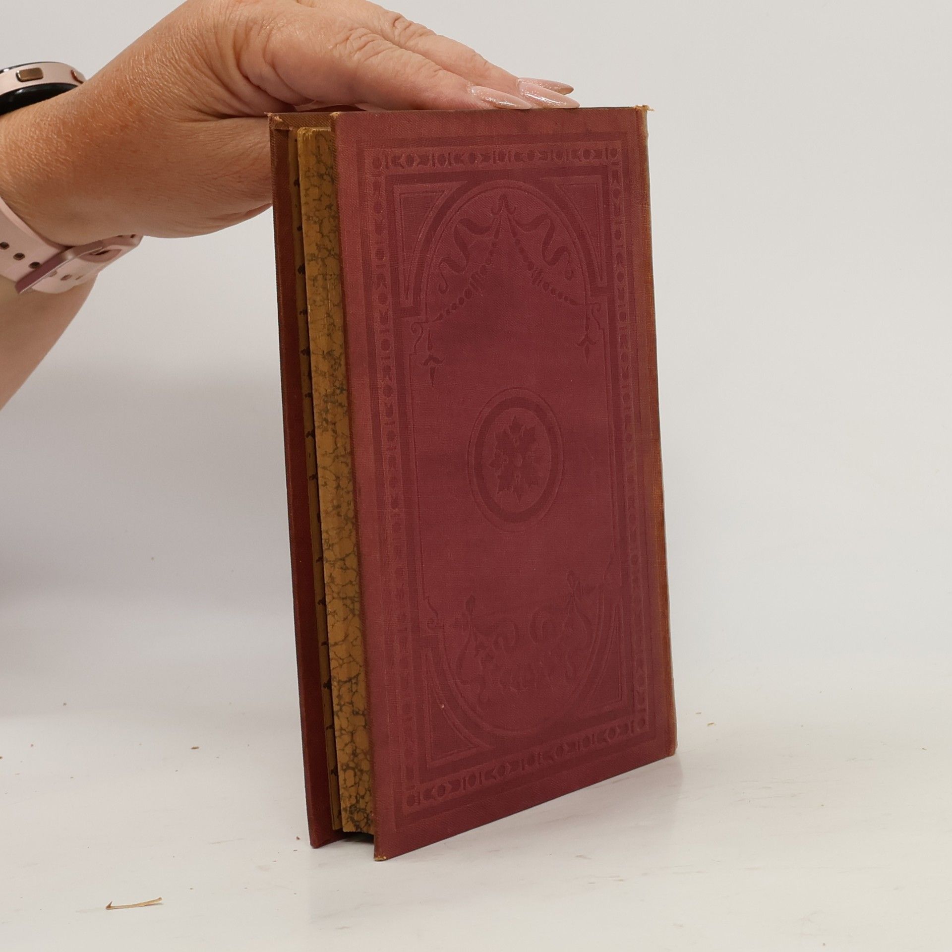 Johann Wolfgang von Goethe Goethes sämtliche Werke 30
