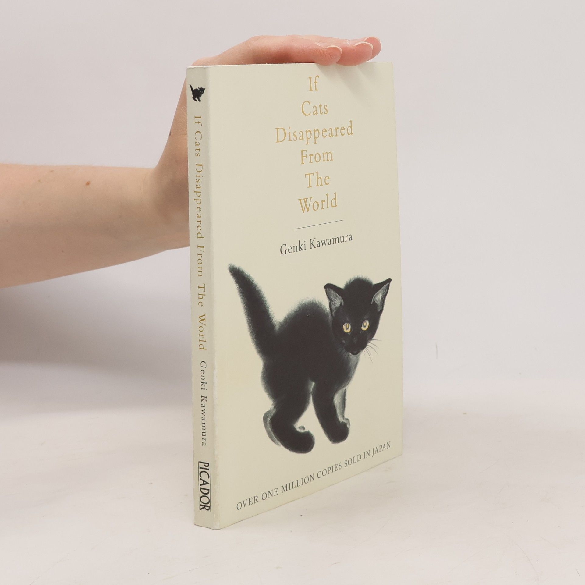 Genki Kawamura If Cats Disappeared from the World