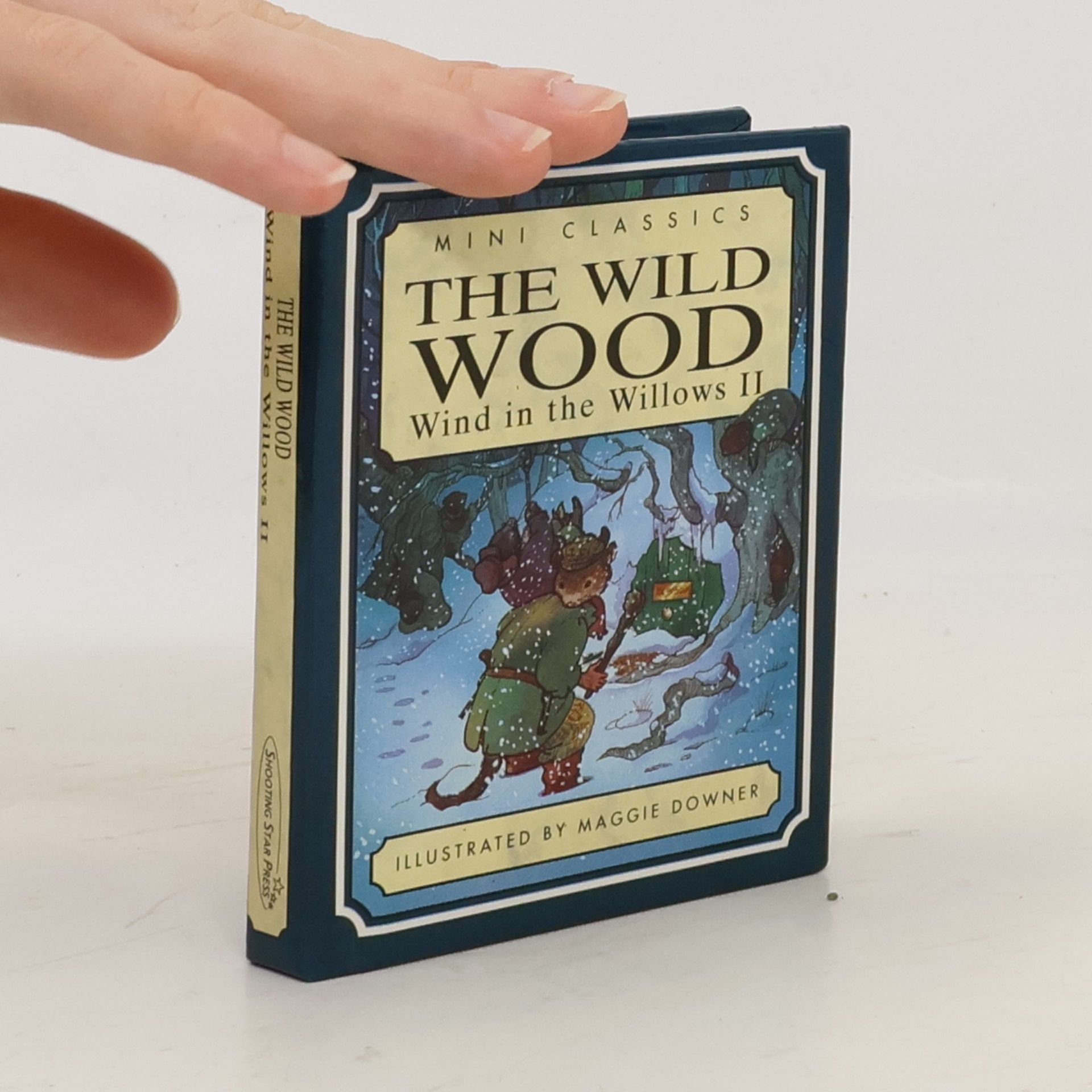 Stephanie Laslett Wind in the Willows - 2: The Wild Wood