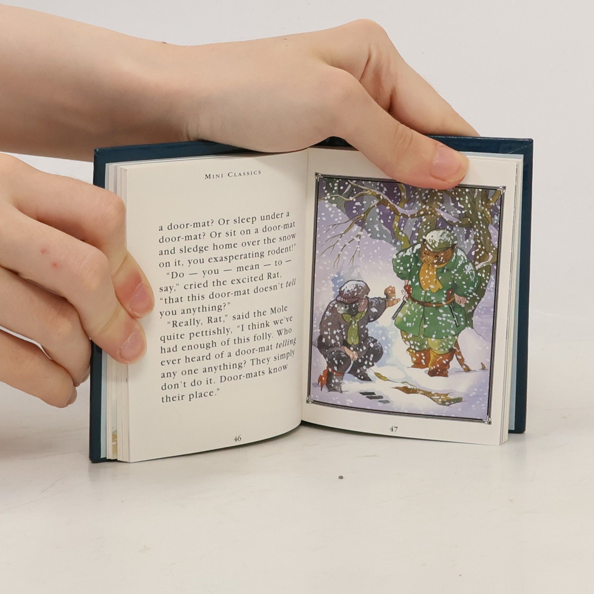 Stephanie Laslett Wind in the Willows - 2: The Wild Wood