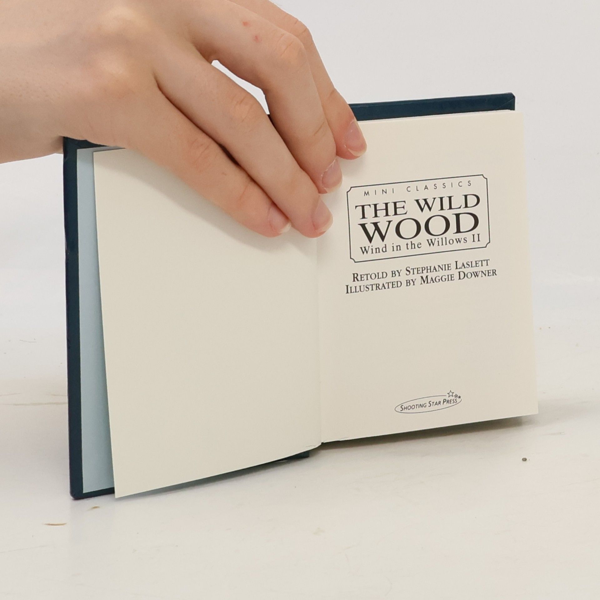 Stephanie Laslett Wind in the Willows - 2: The Wild Wood