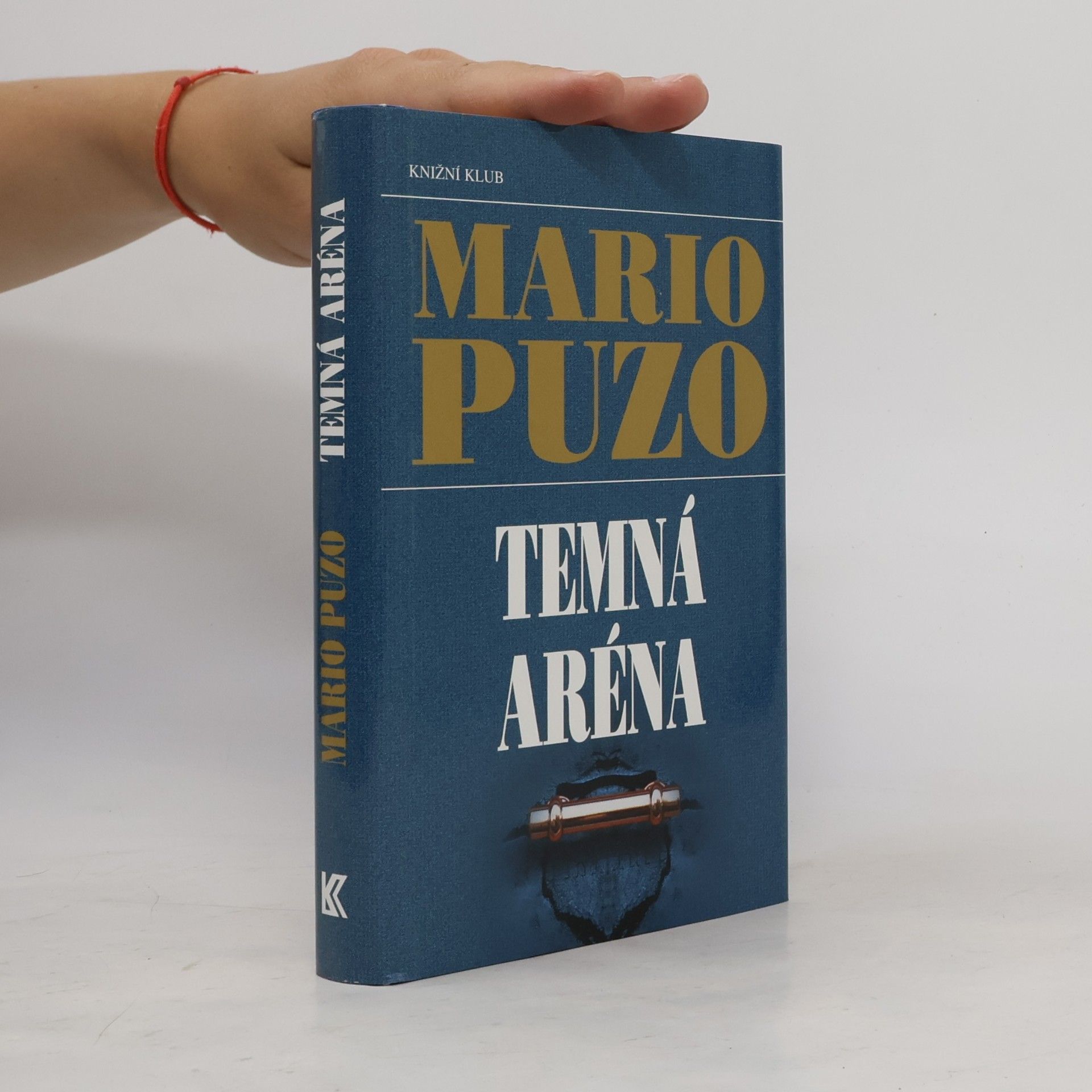 Mario Puzo Temná aréna