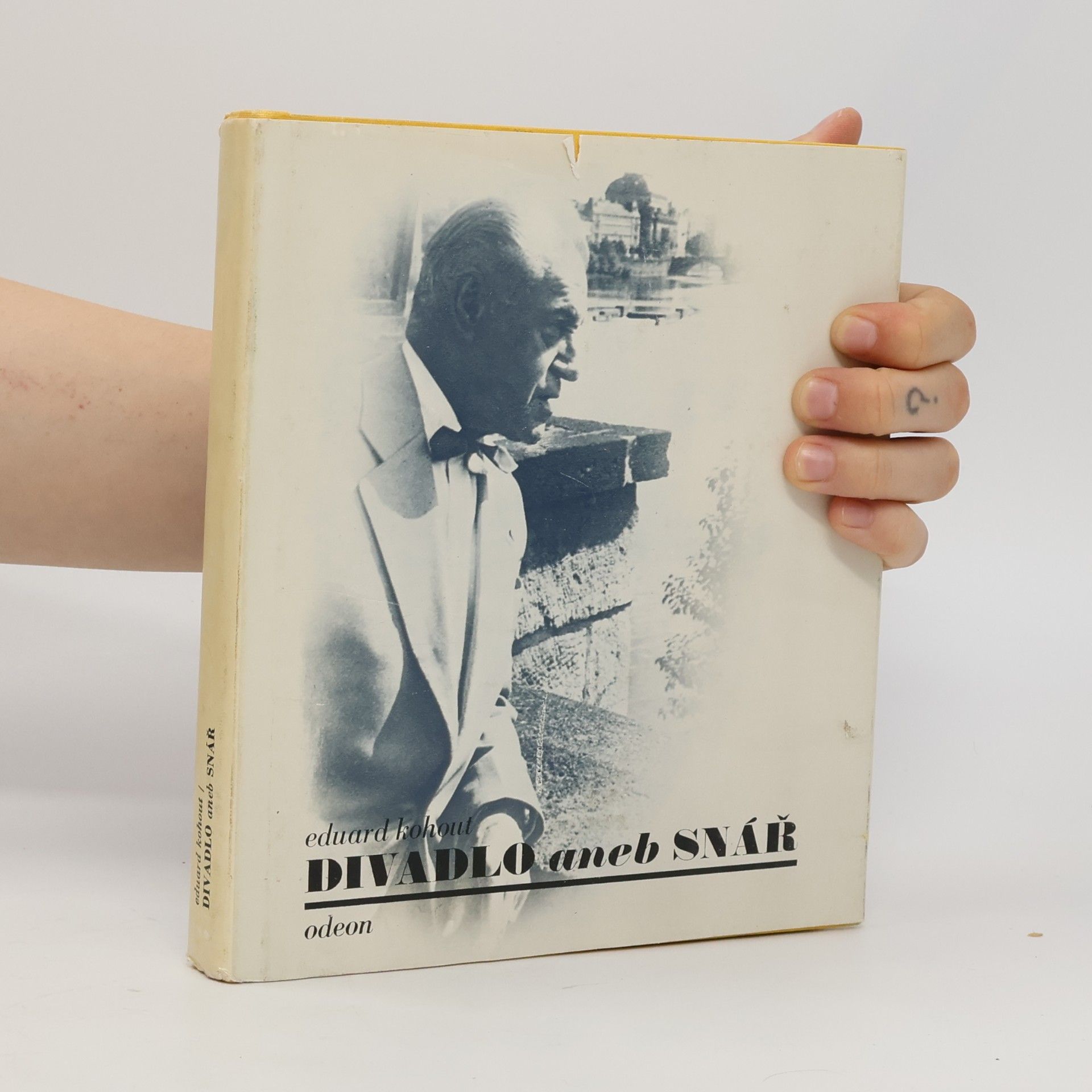 Eduard Kohout Divadlo aneb snář