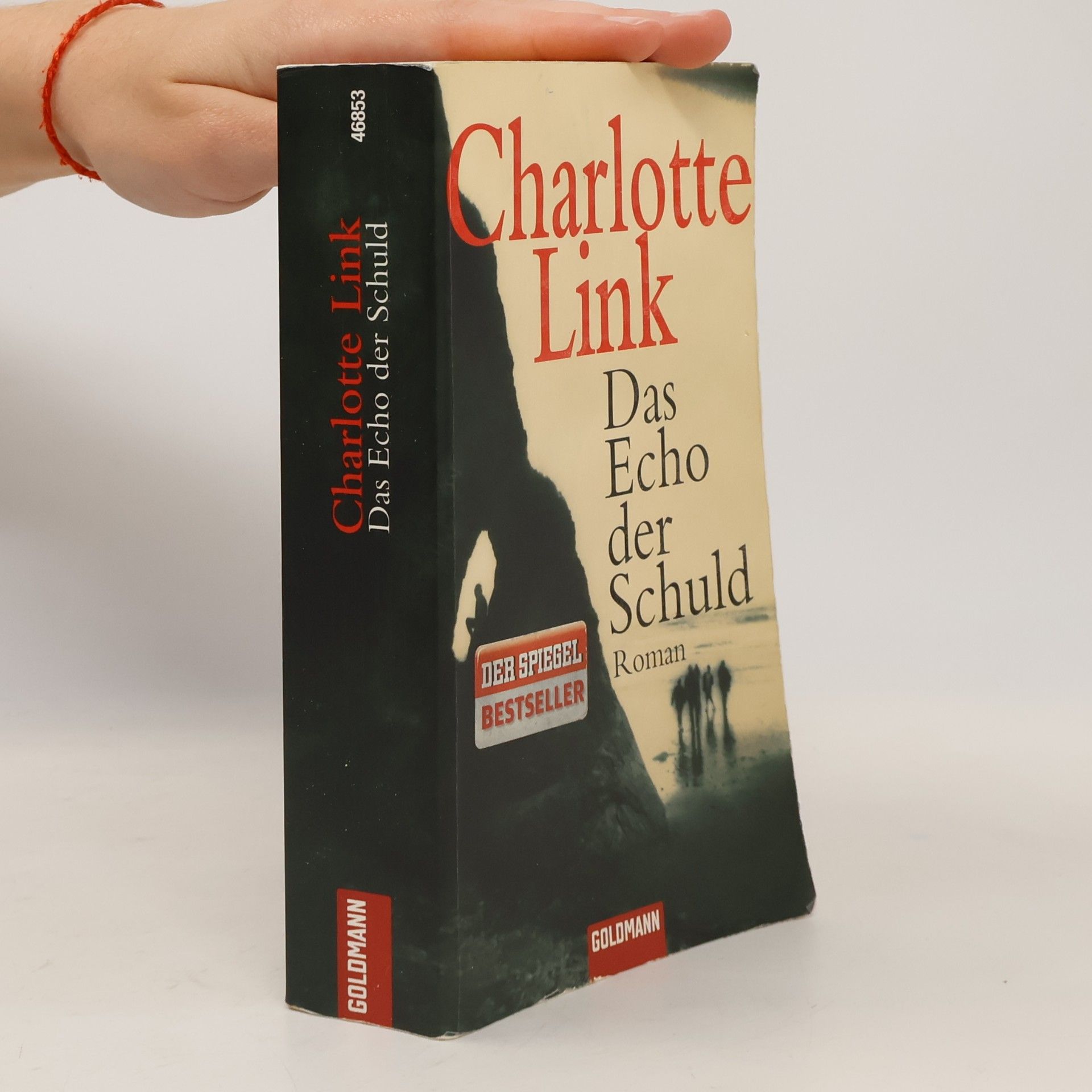 Charlotte Link Das Echo der Schuld