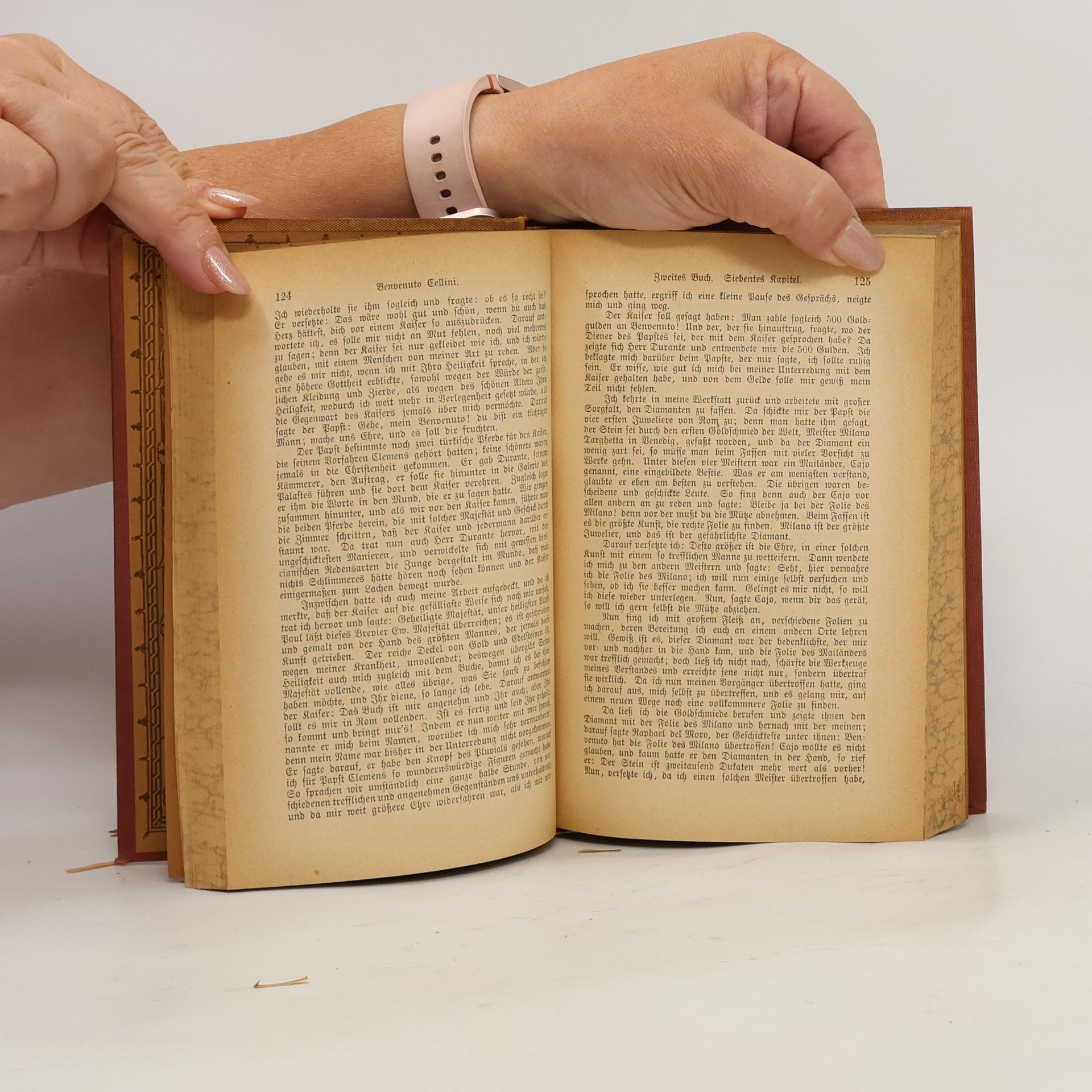 Johann Wolfgang von Goethe Goethes Sämtliche Werke. Band 29