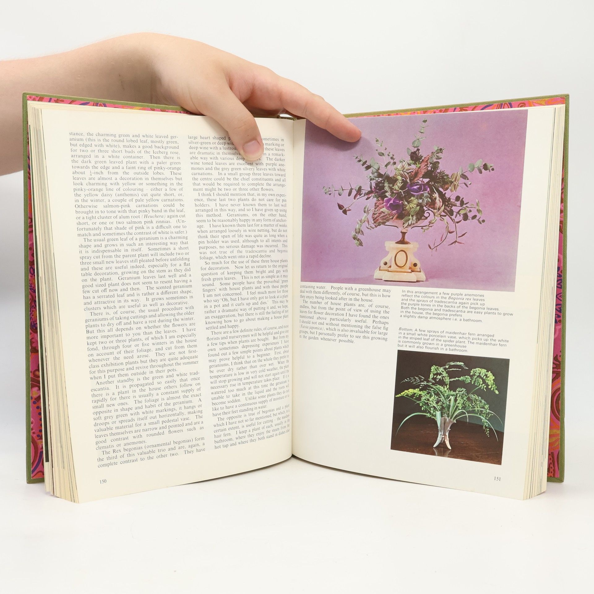 Betty Massingham Flower Arranging In Colour