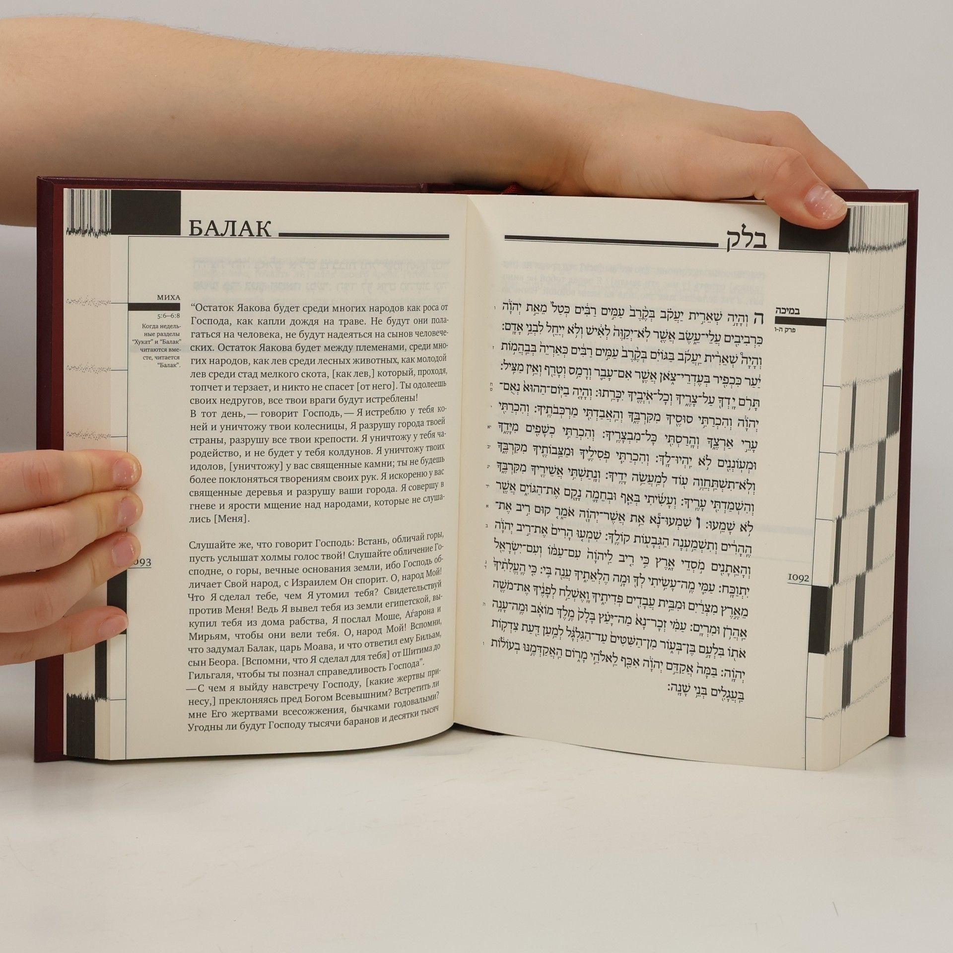 Kolektiv autorů Torah