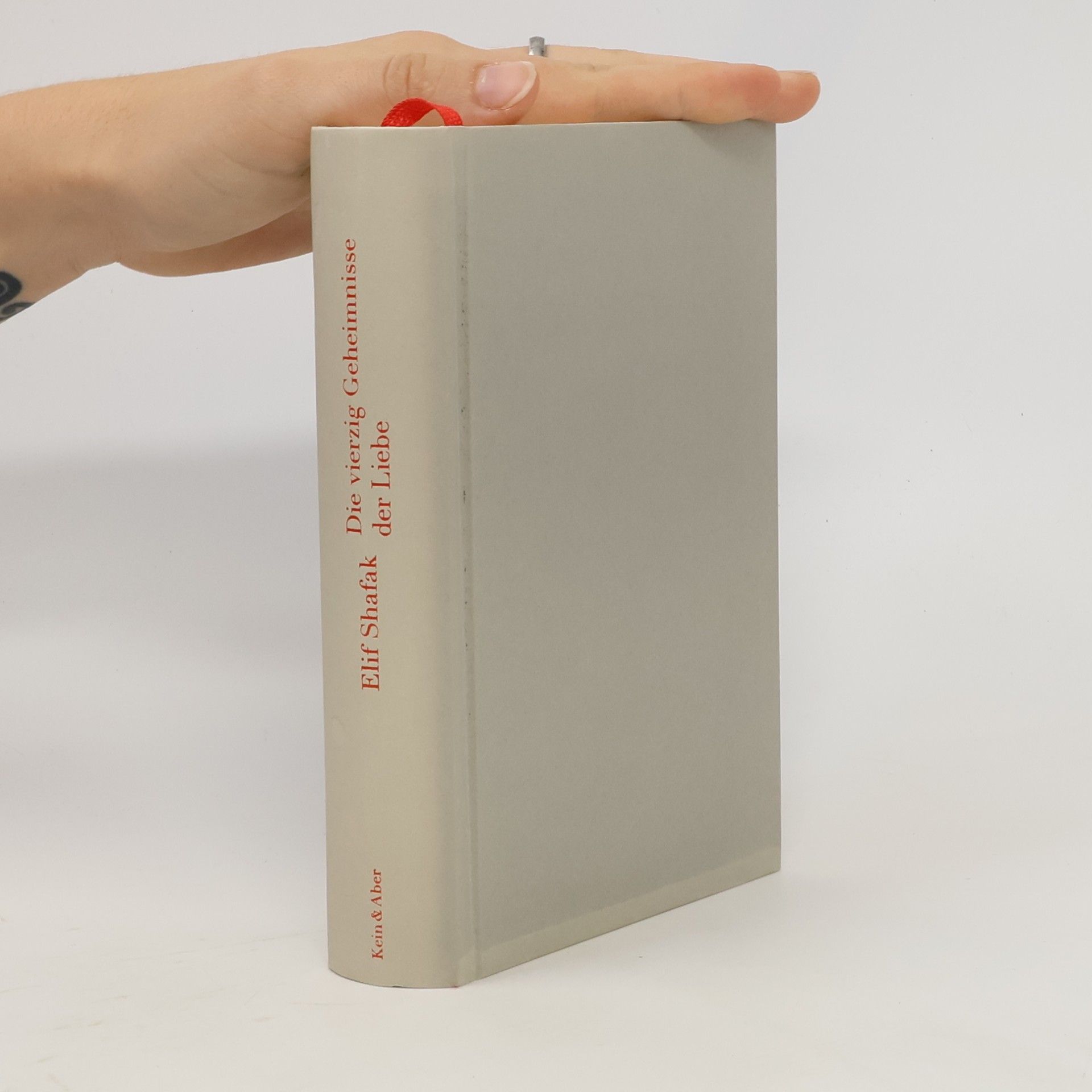 Elif Shafak Die vierzig Geheimnisse der Liebe