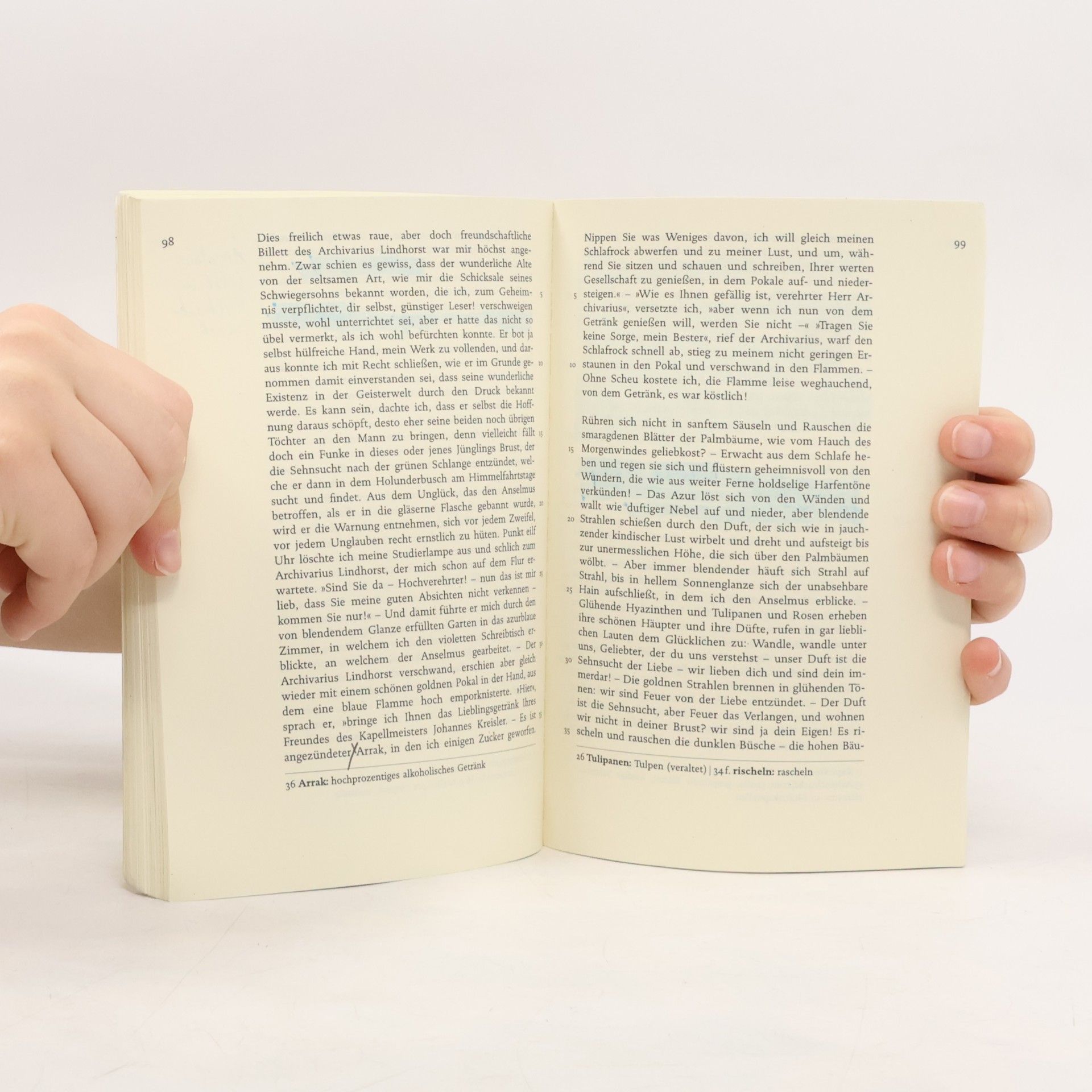 E. T. A. Hoffmann Der goldne Topf