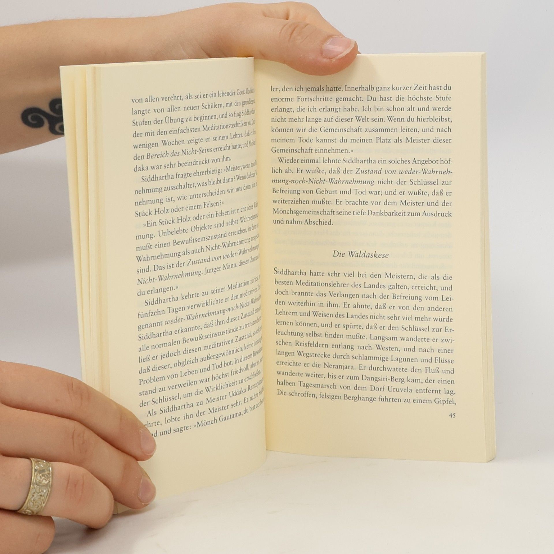 Thich Nhat Hanh Insel Taschenbuch: Der Buddha