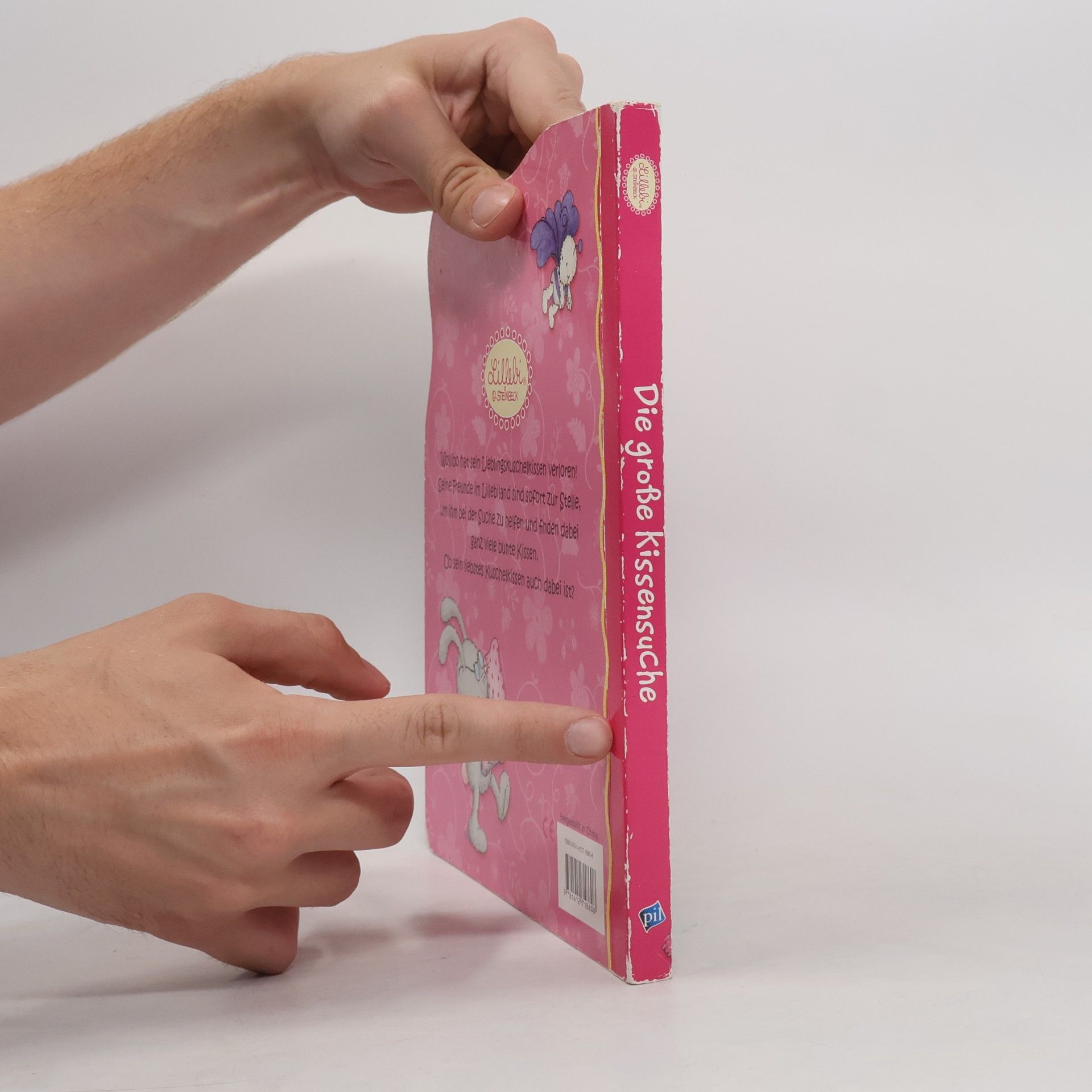 Autores varios Die große Kissensuche