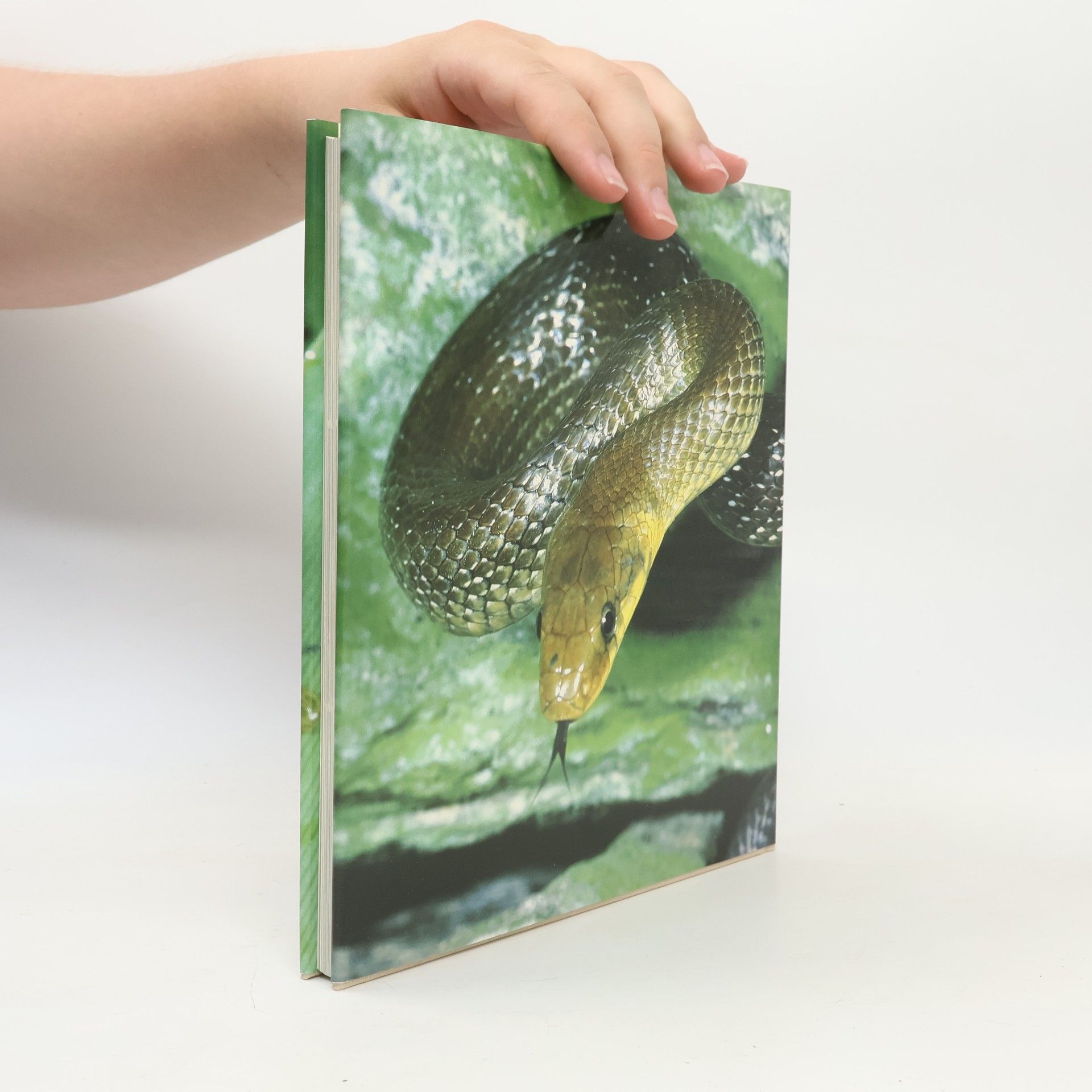 Max Meier Amphibien und Reptilien der Schweiz