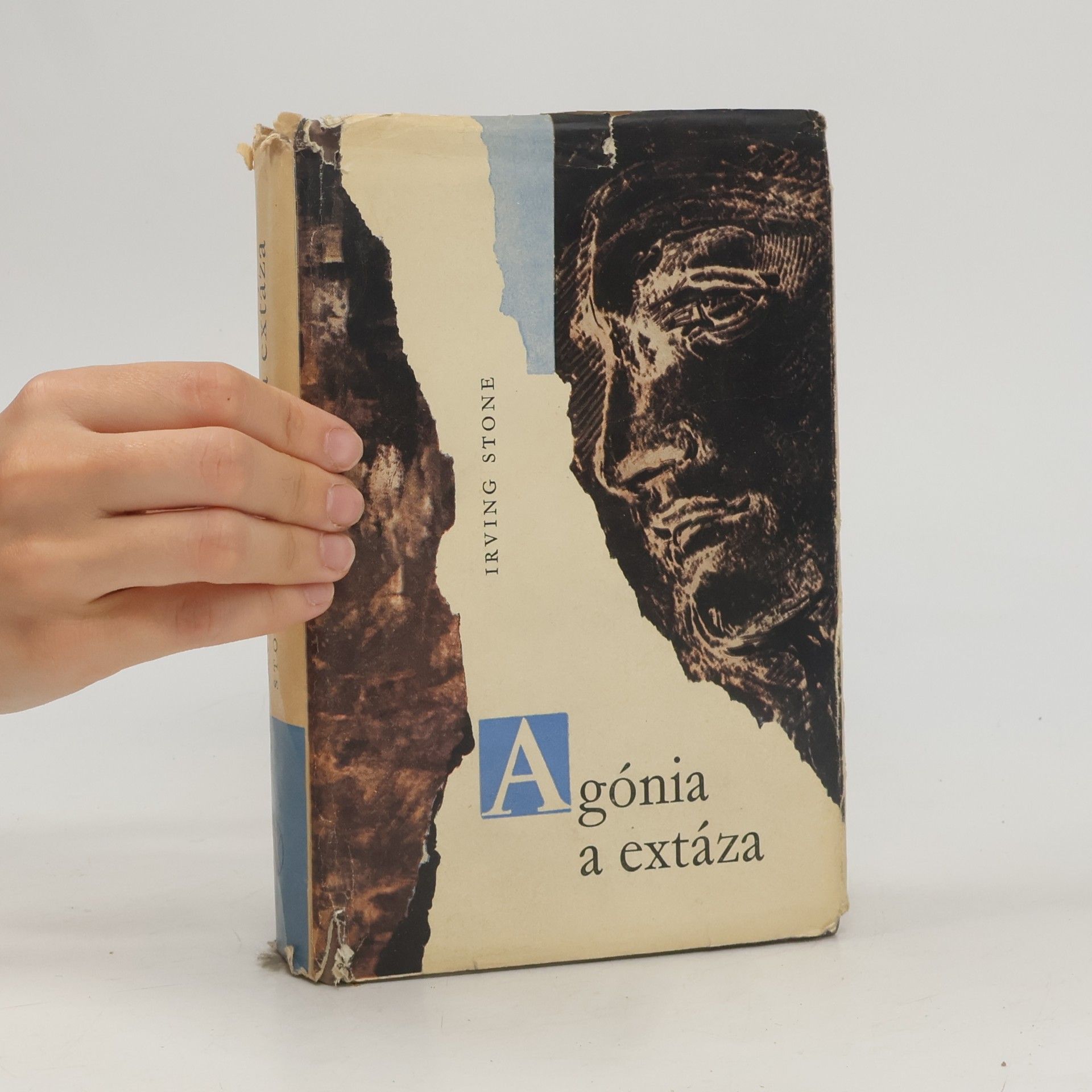 Irving Stone Agónia a extáza
