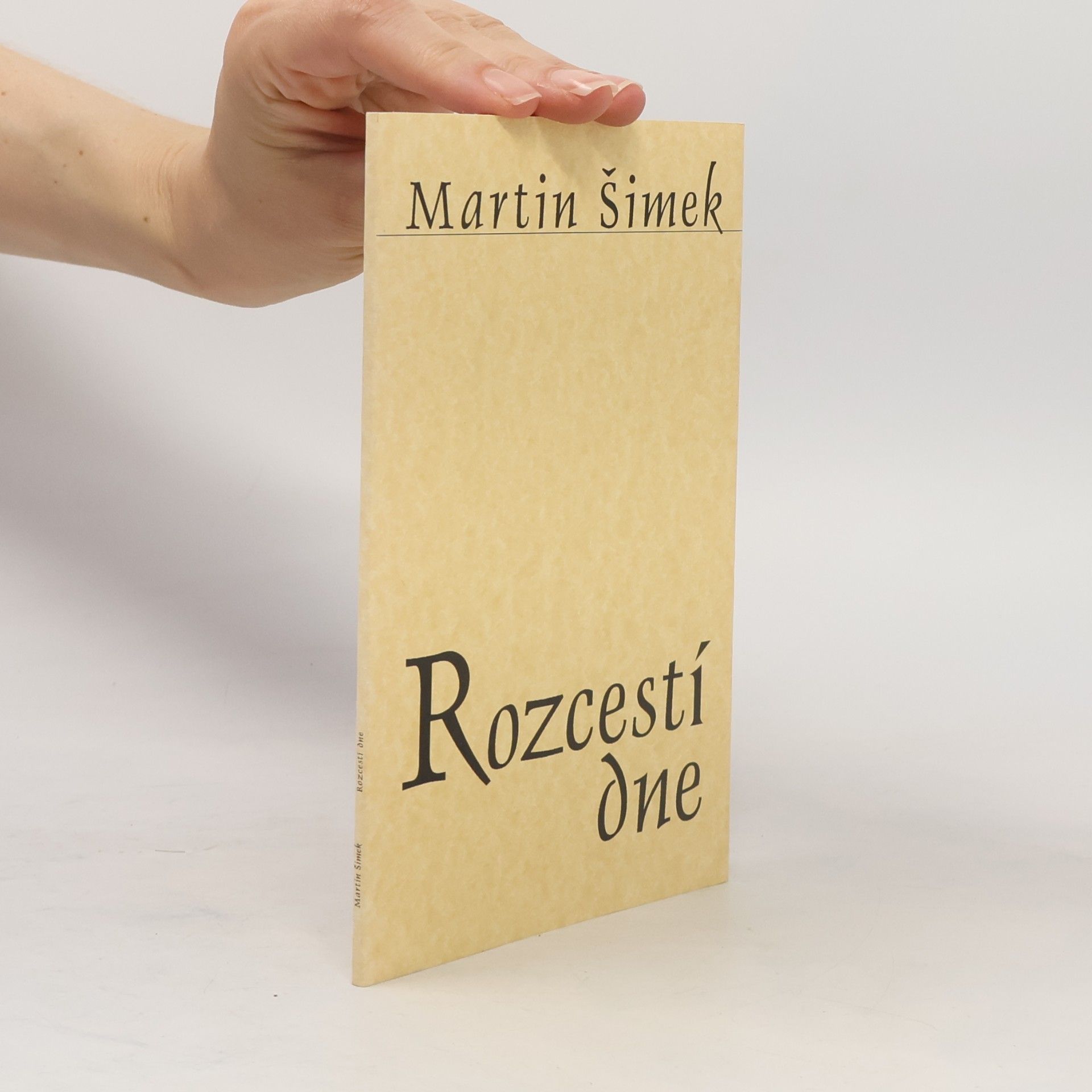 Martin Šimek Rozcestí dne