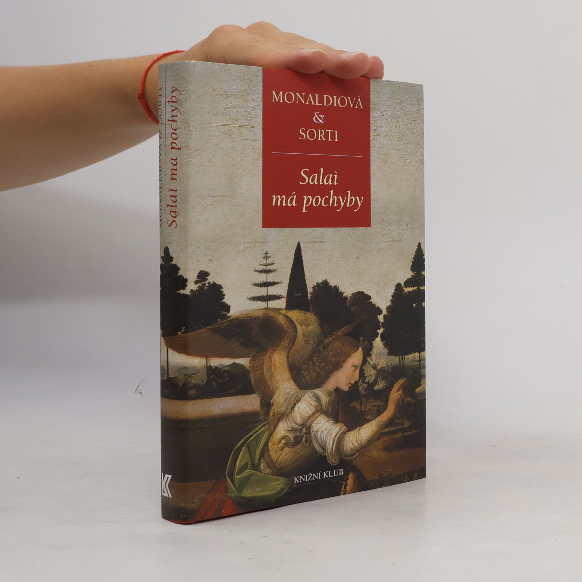 Rita Monaldi Salaì má pochyby: O pátrání malíře pana Lionarda, svého mistra a adoptivního otce