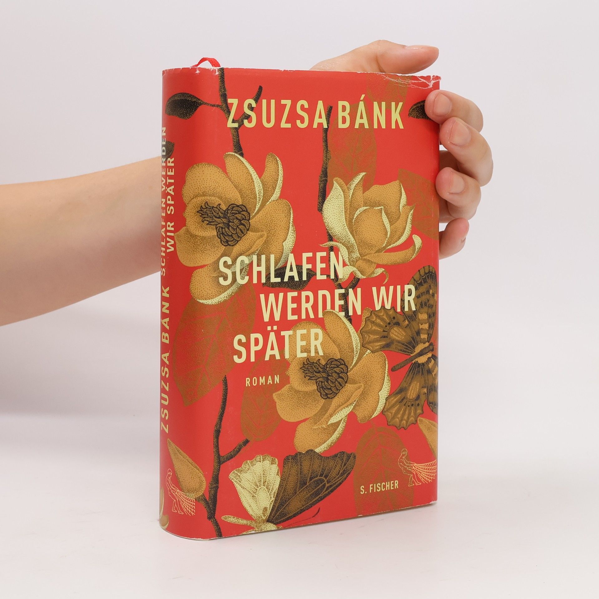 Zsuzsa Bánk Schlafen werden wir später