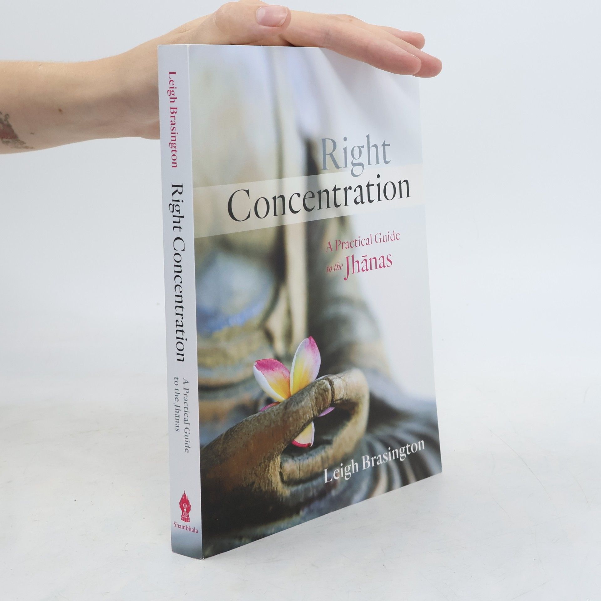 Leigh Brasington Right Concentration