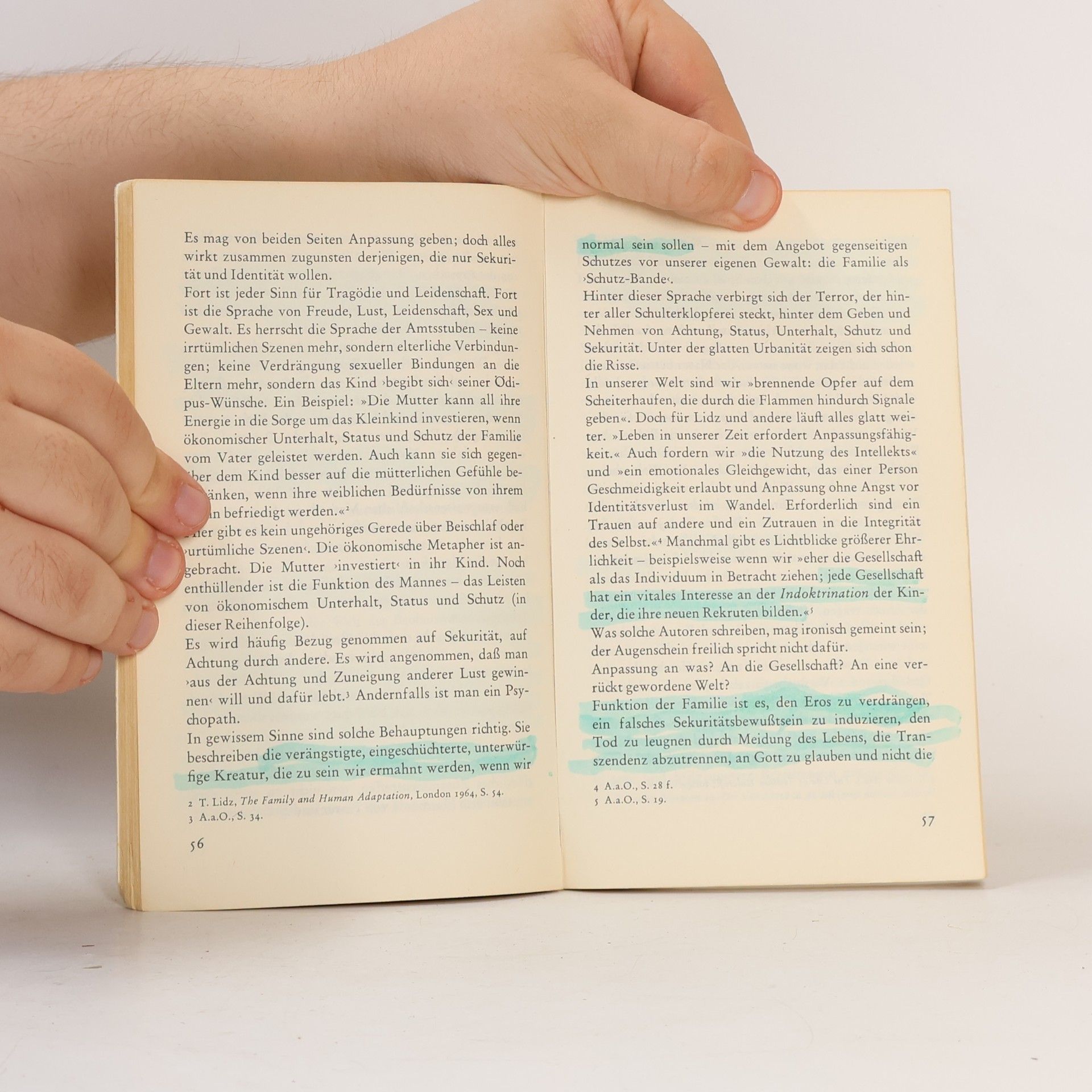 Ronald D. Laing Phänomenologie der Erfahrung