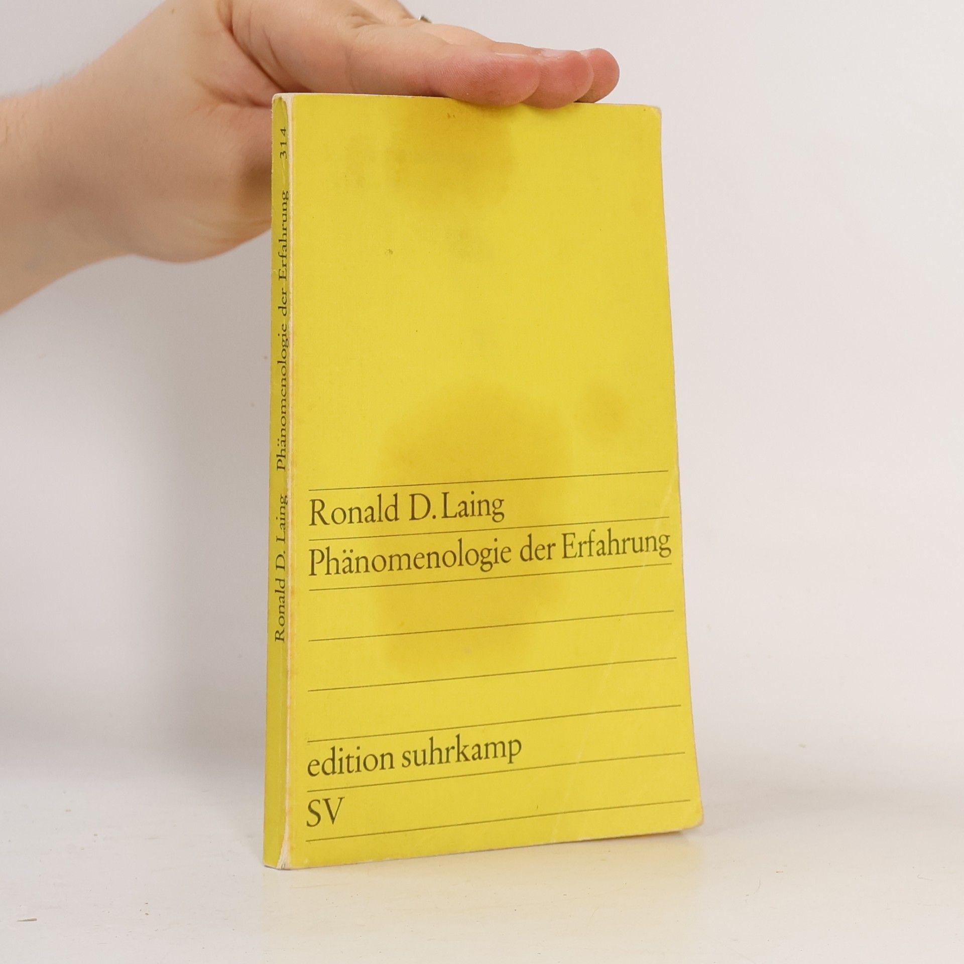 Ronald D. Laing Phänomenologie der Erfahrung