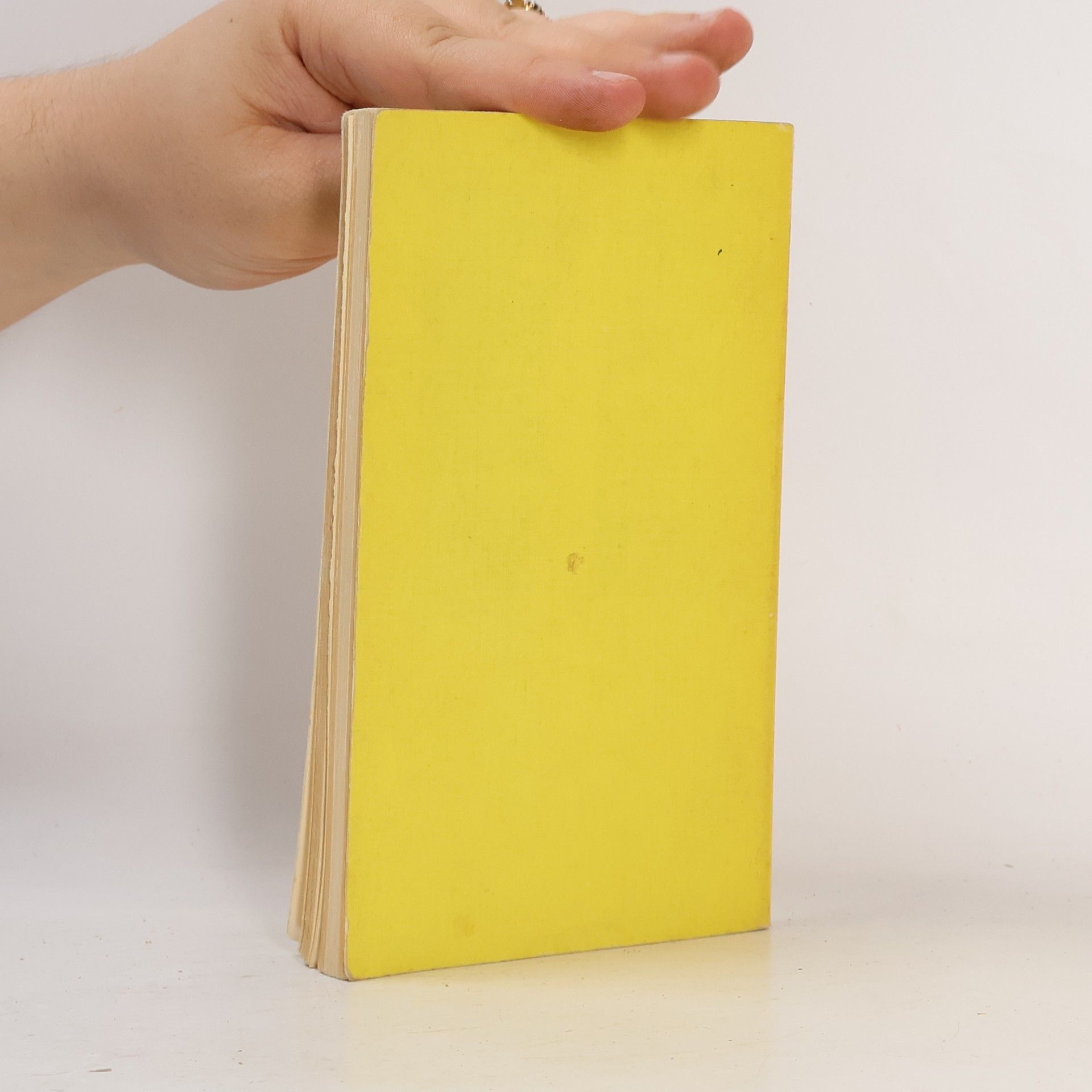 Ronald D. Laing Phänomenologie der Erfahrung