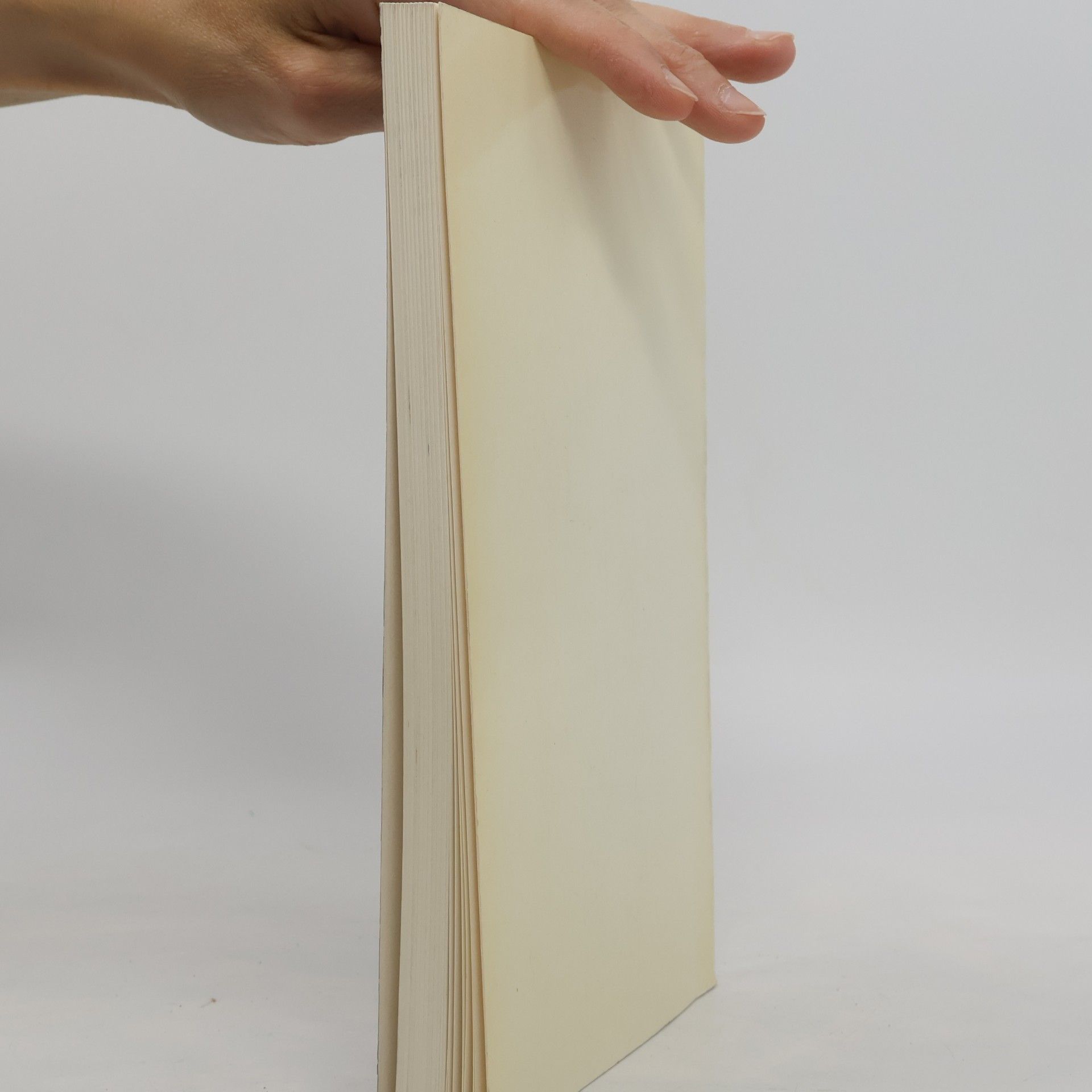 Autorenkollektiv Staatsgalerie Stuttgart 19. Jahrhundert