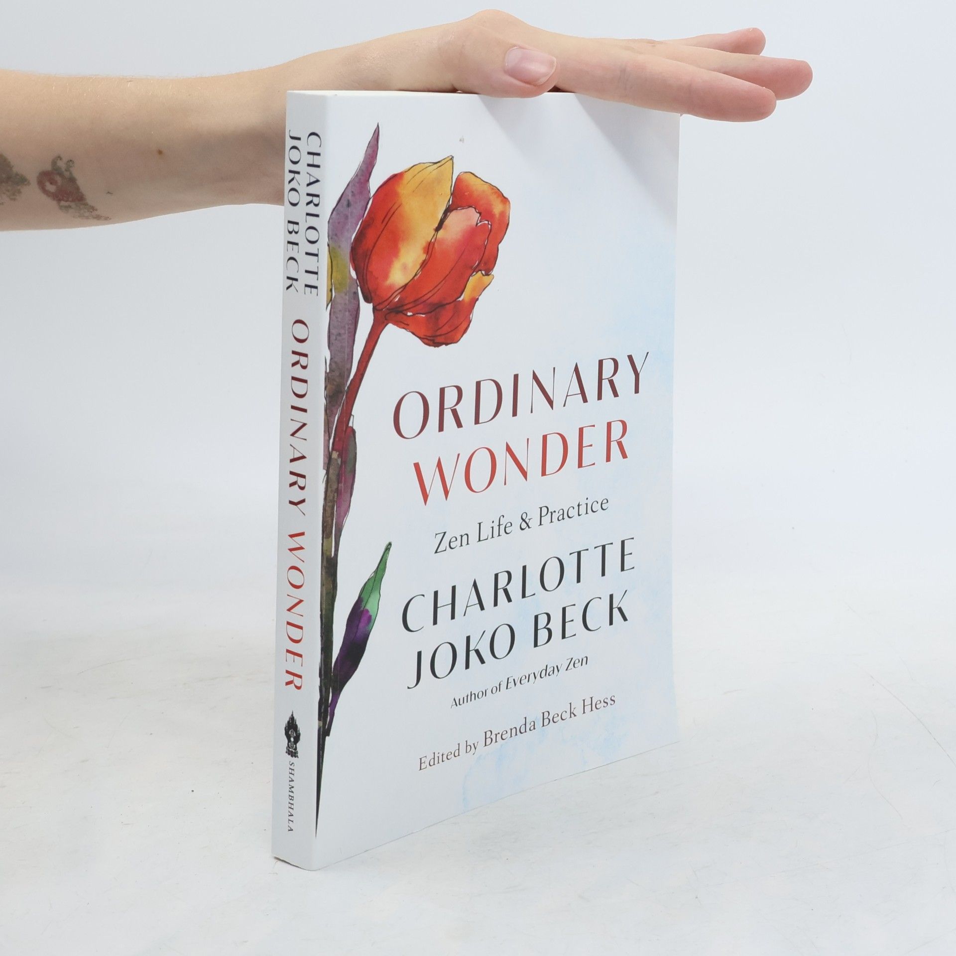 Charlotte Joko Beck Ordinary Wonder